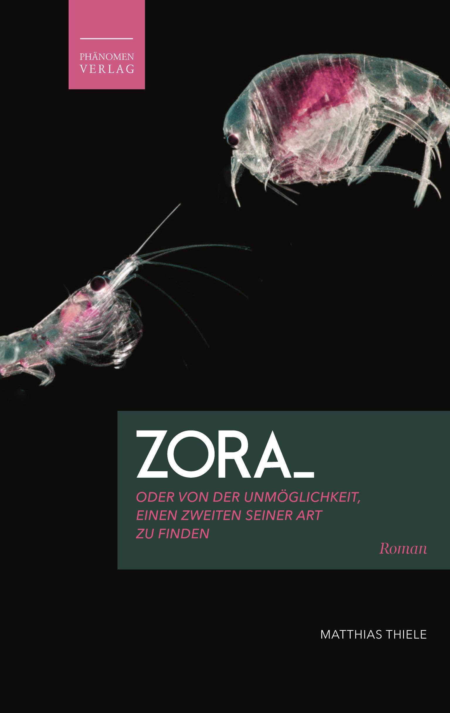 Vorderes Coverbild Zora oder von der Unmöglichkeit, einen Zweiten seiner Art zu finden