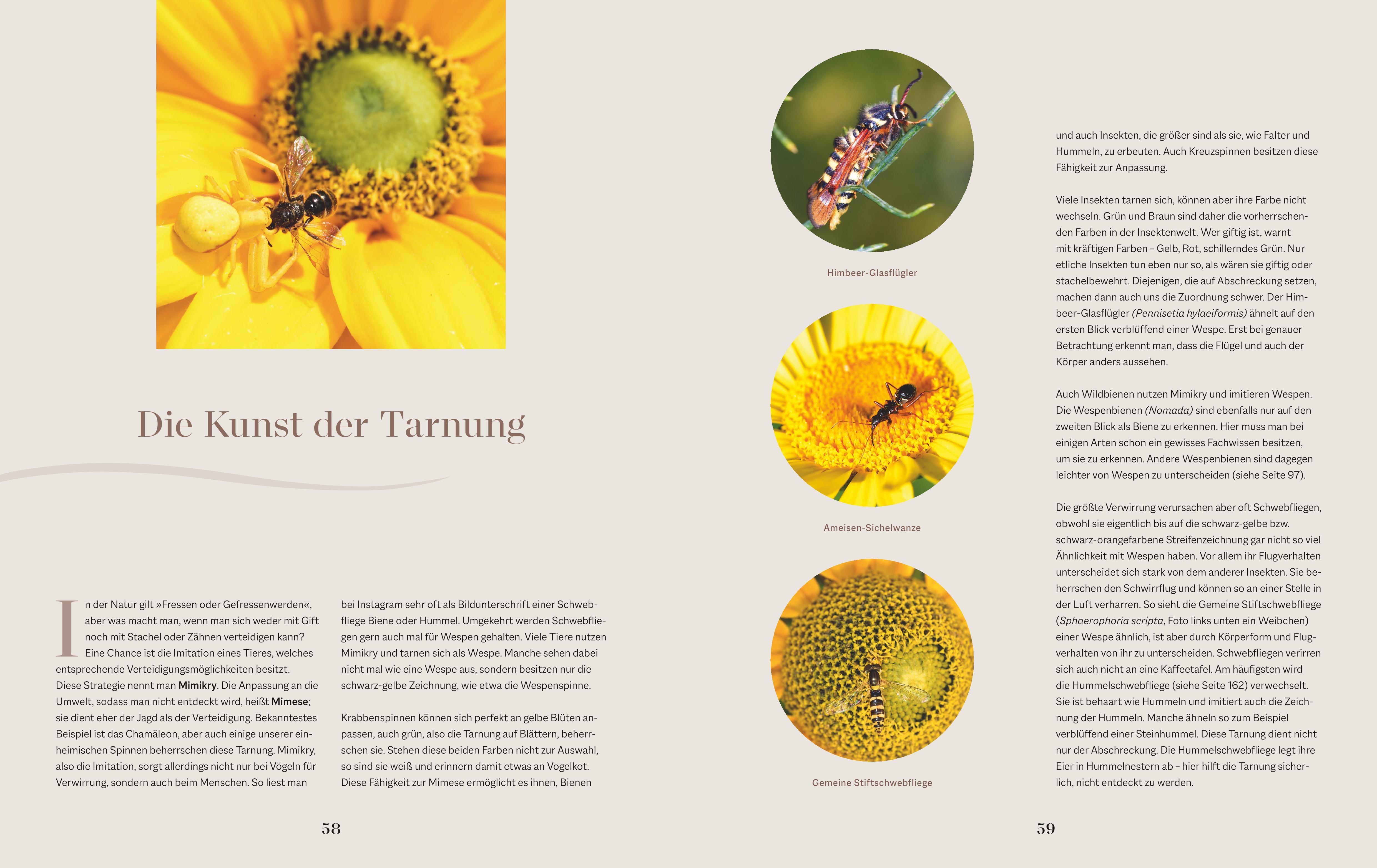 Beispielinhalt (Bild) Die Welt in meinem Garten