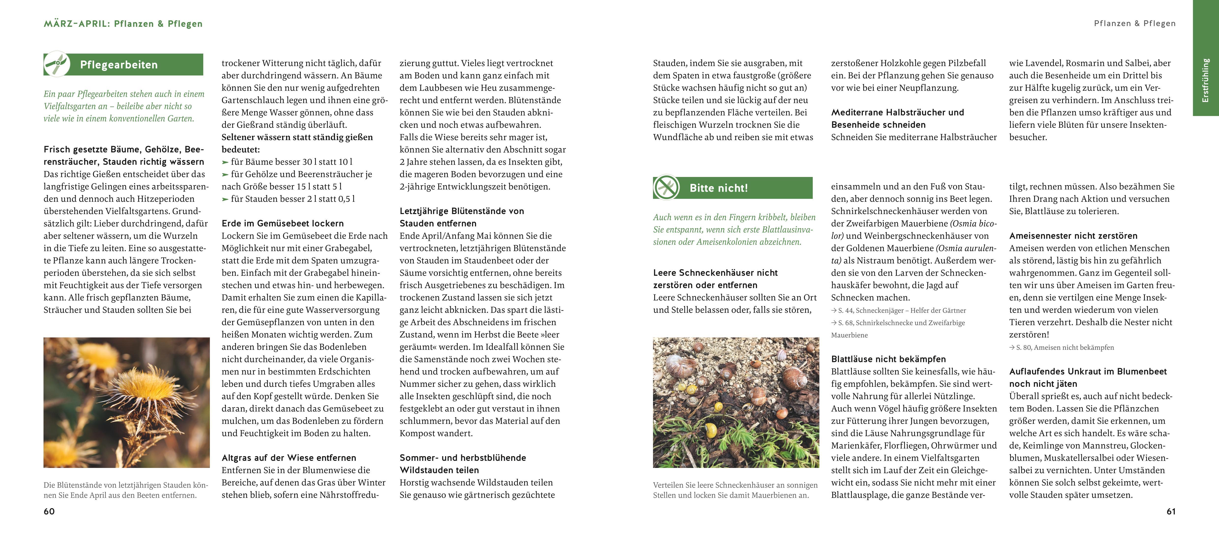 Beispielinhalt (Bild) Quickfinder Artenvielfalt im Gartenjahr