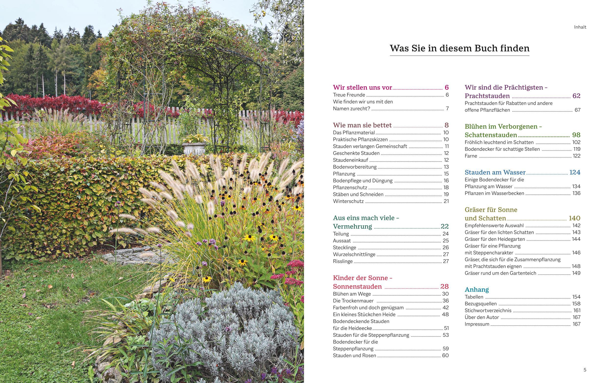 Beispielinhalt (Bild) Das BLV Handbuch Stauden