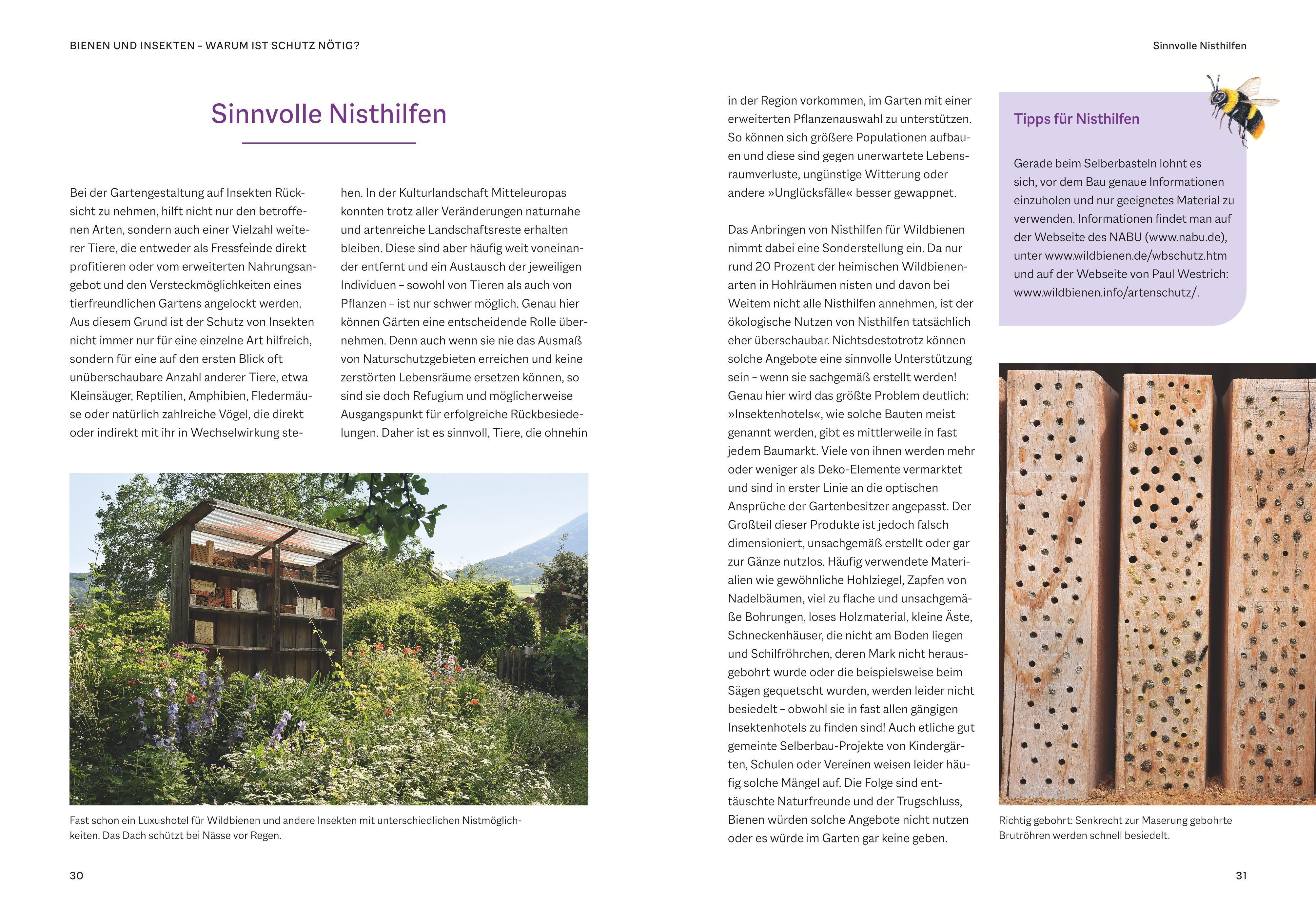 Beispielinhalt (Bild) Bienenfreundlich Gärtnern