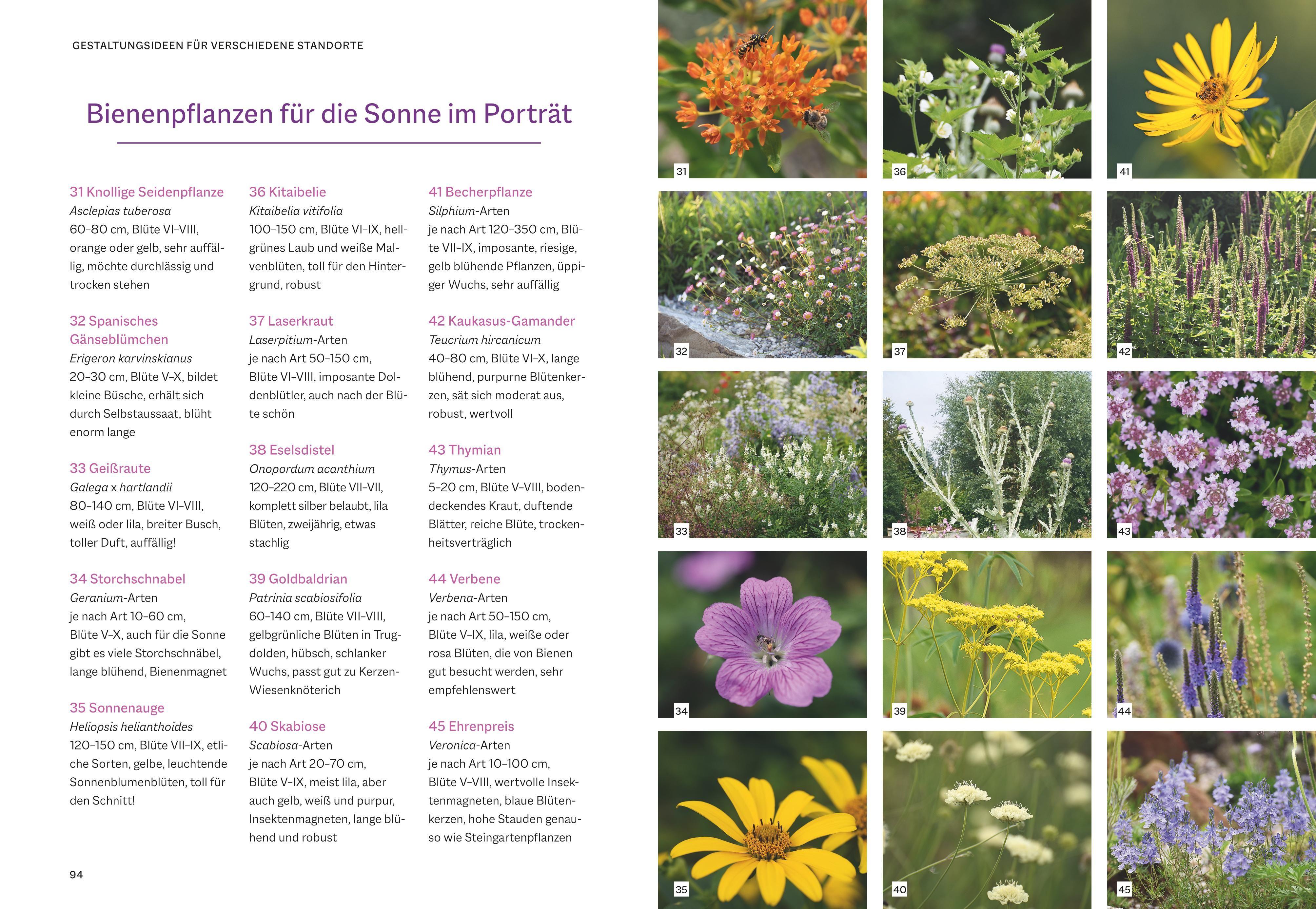 Beispielinhalt (Bild) Bienenfreundlich Gärtnern