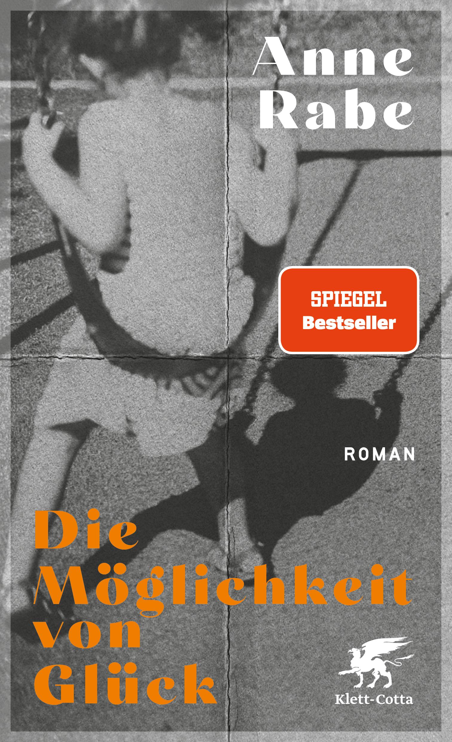 Vorderes Coverbild Die Möglichkeit von Glück