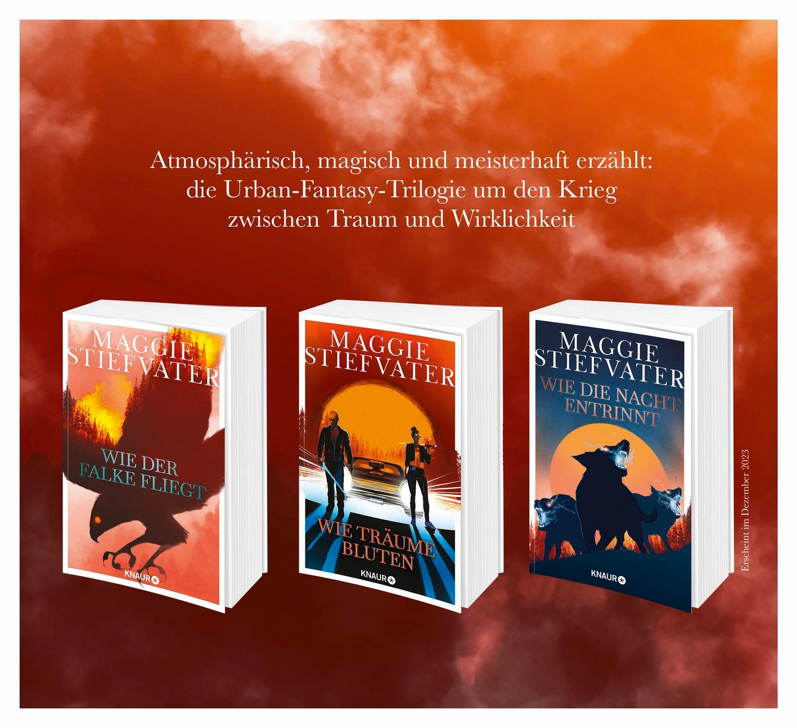 Beispielinhalt (Bild) Wie Träume bluten