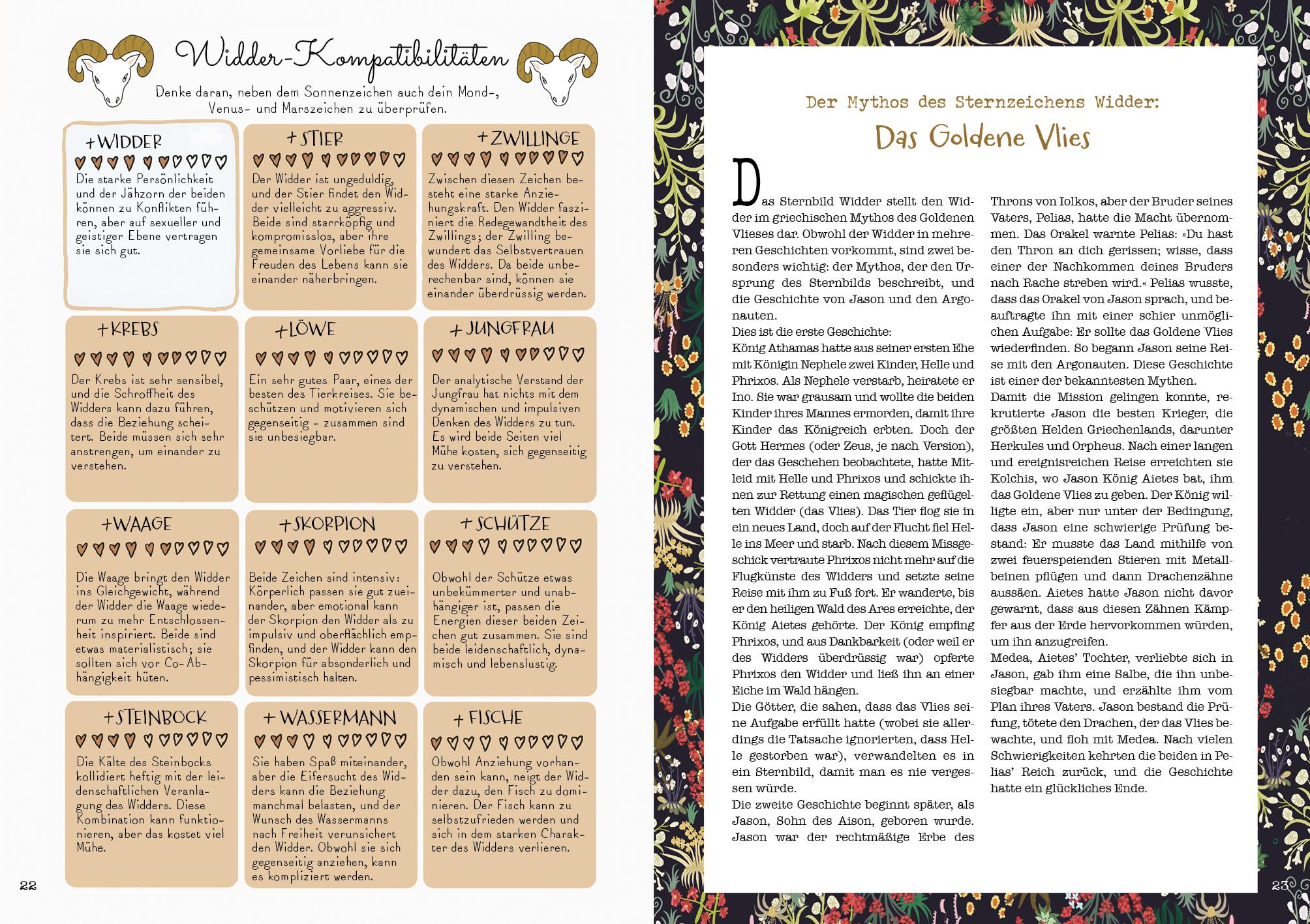 Beispielinhalt (Bild) Die Zeichen der Sterne