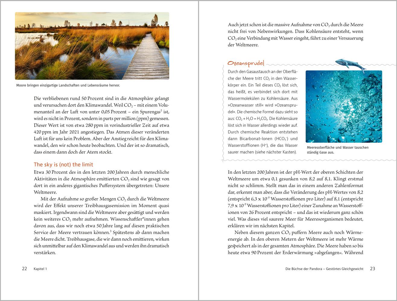 Beispielinhalt (Bild) Wal macht Wetter