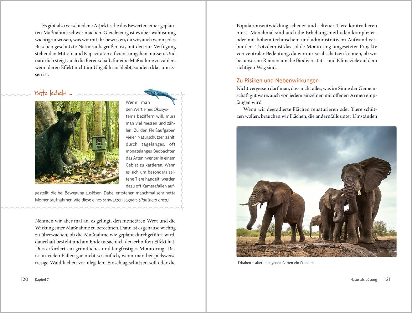 Beispielinhalt (Bild) Wal macht Wetter