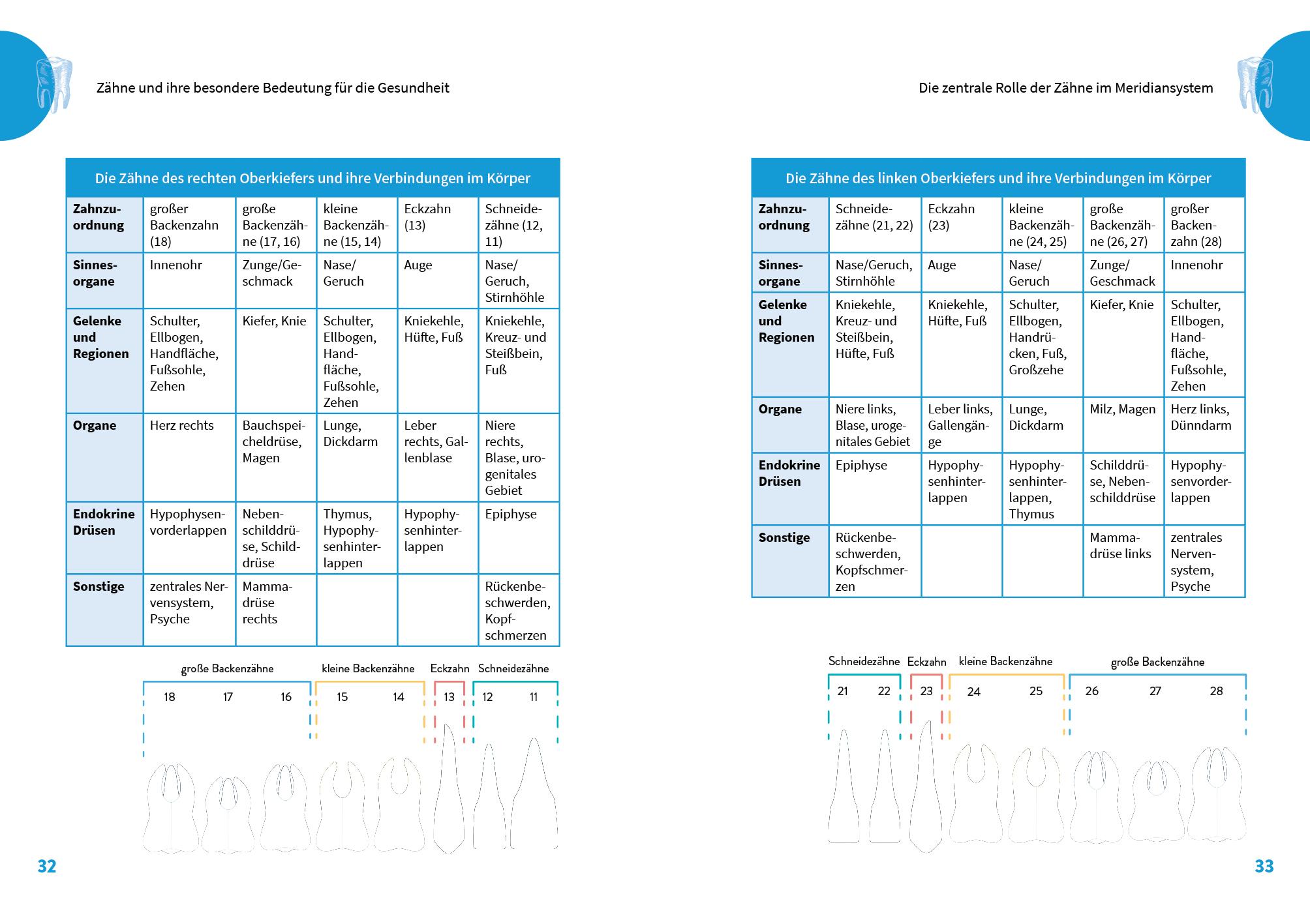 Beispielinhalt (Bild) Die geheime Kraft der Zähne