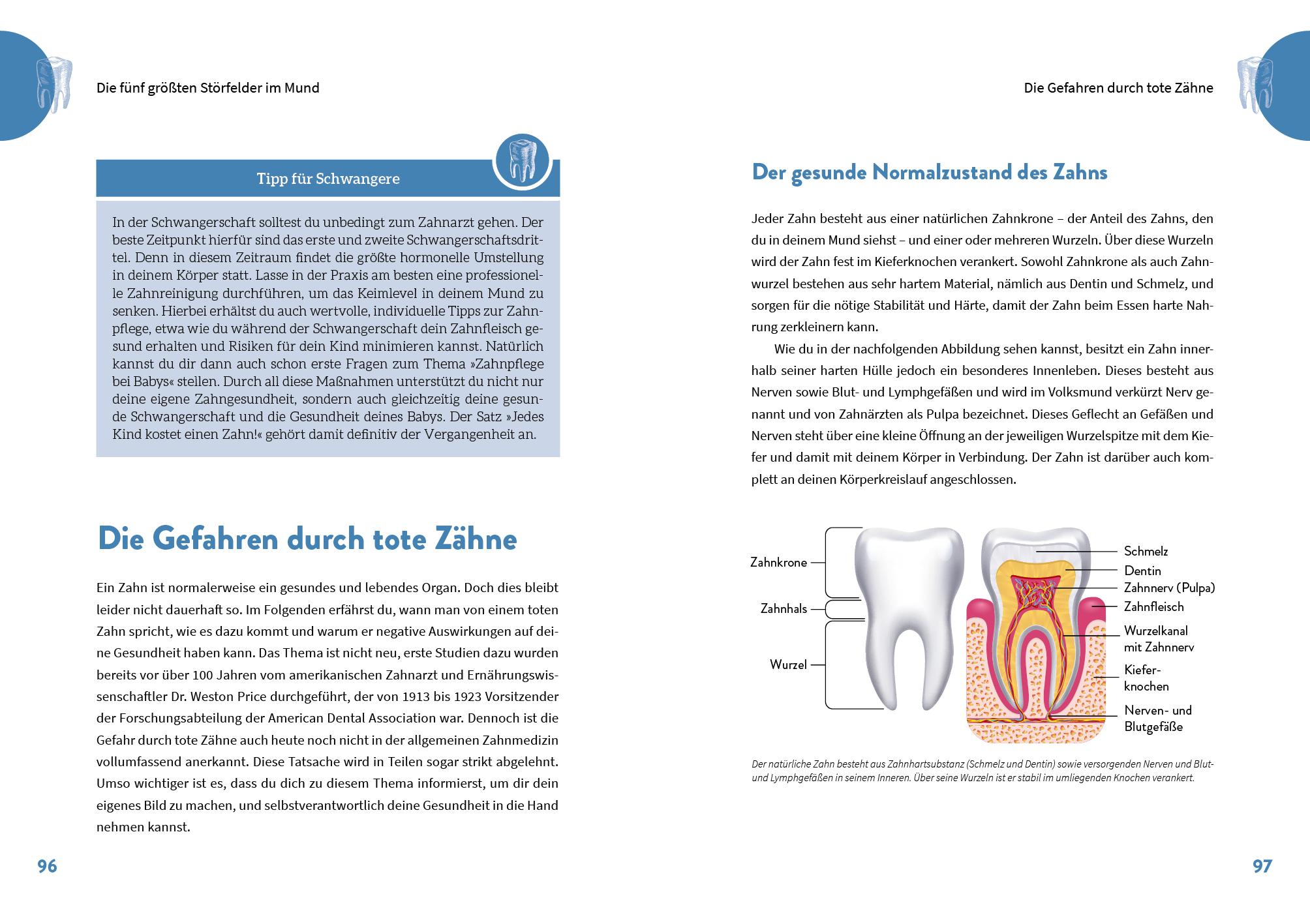 Beispielinhalt (Bild) Die geheime Kraft der Zähne