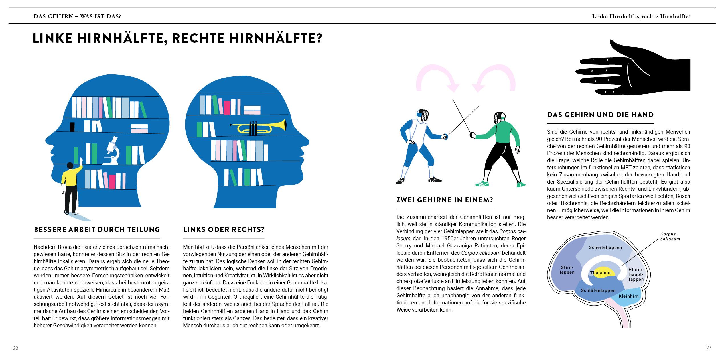 Beispielinhalt (Bild) Eine Reise durch unser Gehirn