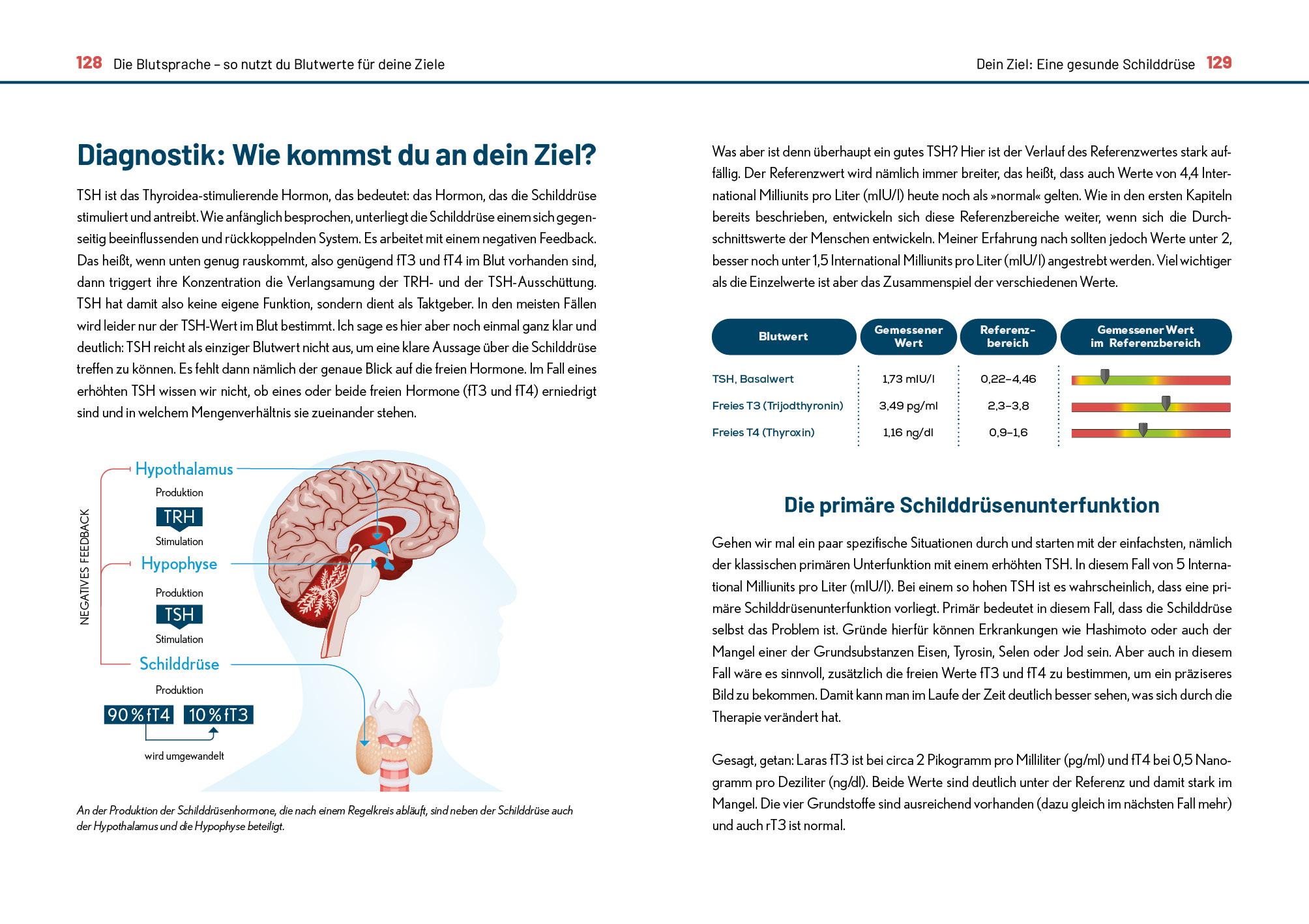 Beispielinhalt (Bild) Der Blutwerte-Code