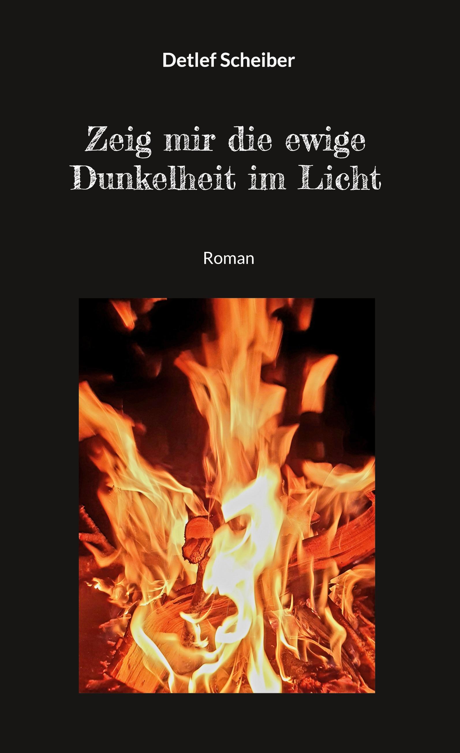 Vorderes Coverbild Zeig mir die ewige Dunkelheit im Licht