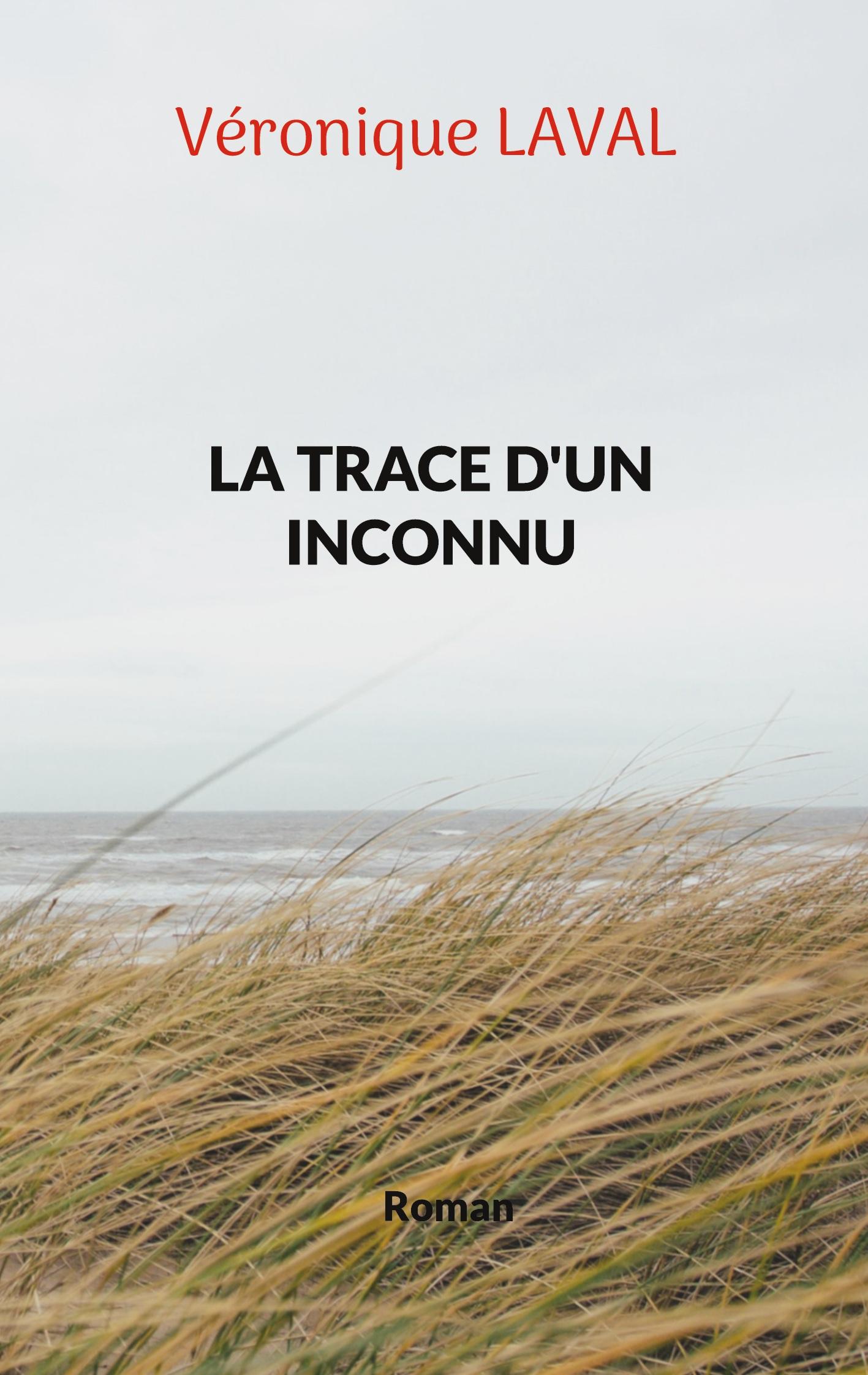 Vorderes Coverbild La trace d'un inconnu