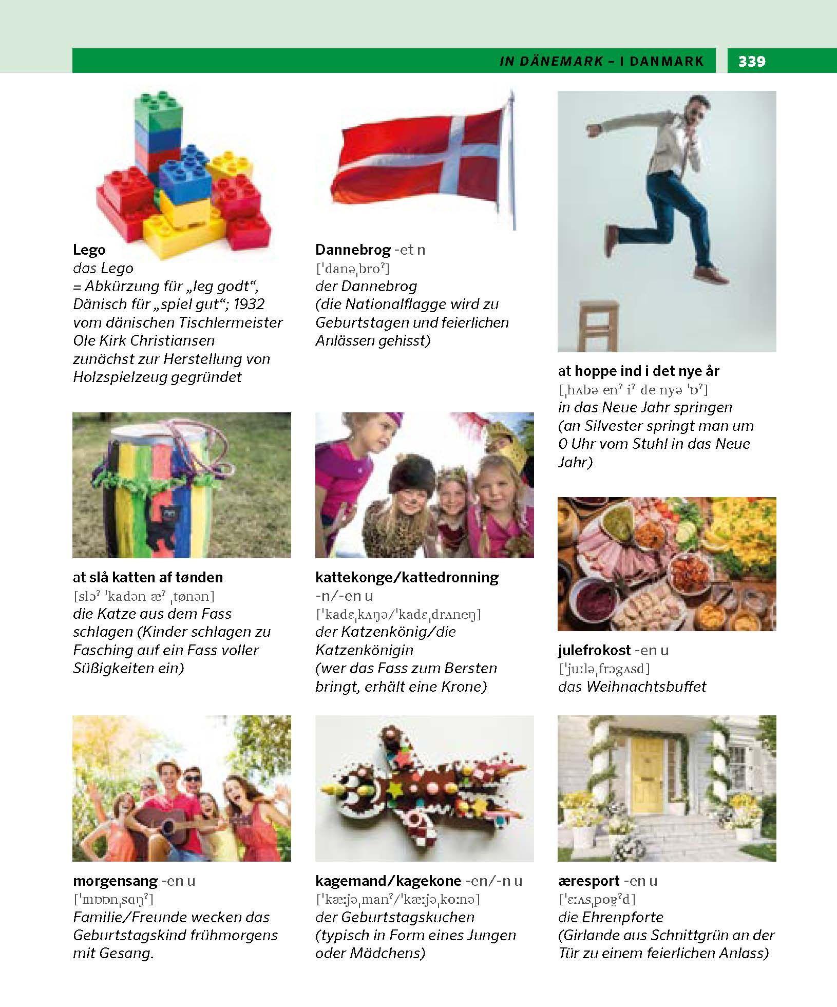 Beispielinhalt (Bild) PONS Bildwörterbuch Dänisch