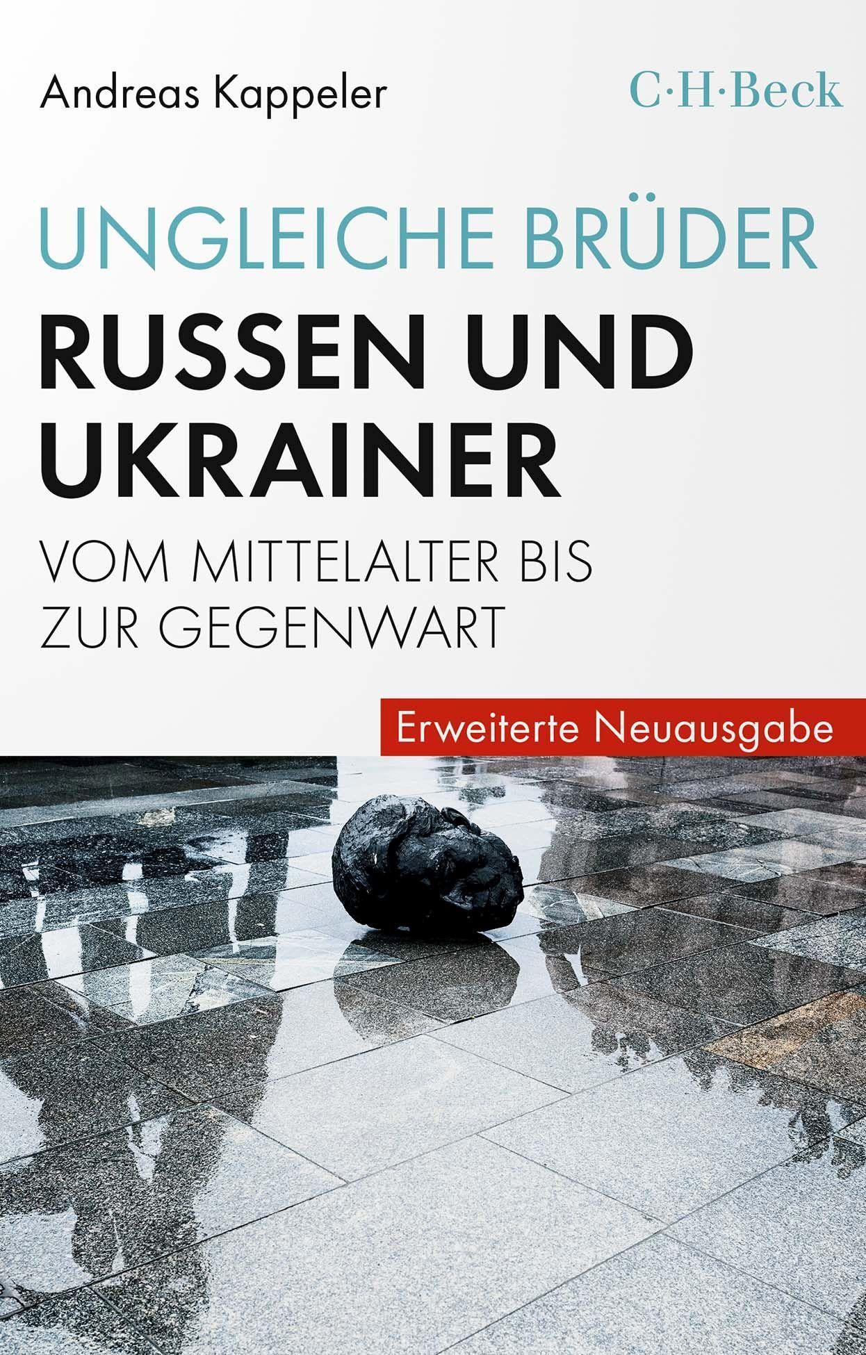 Vorderes Coverbild Ungleiche Brüder