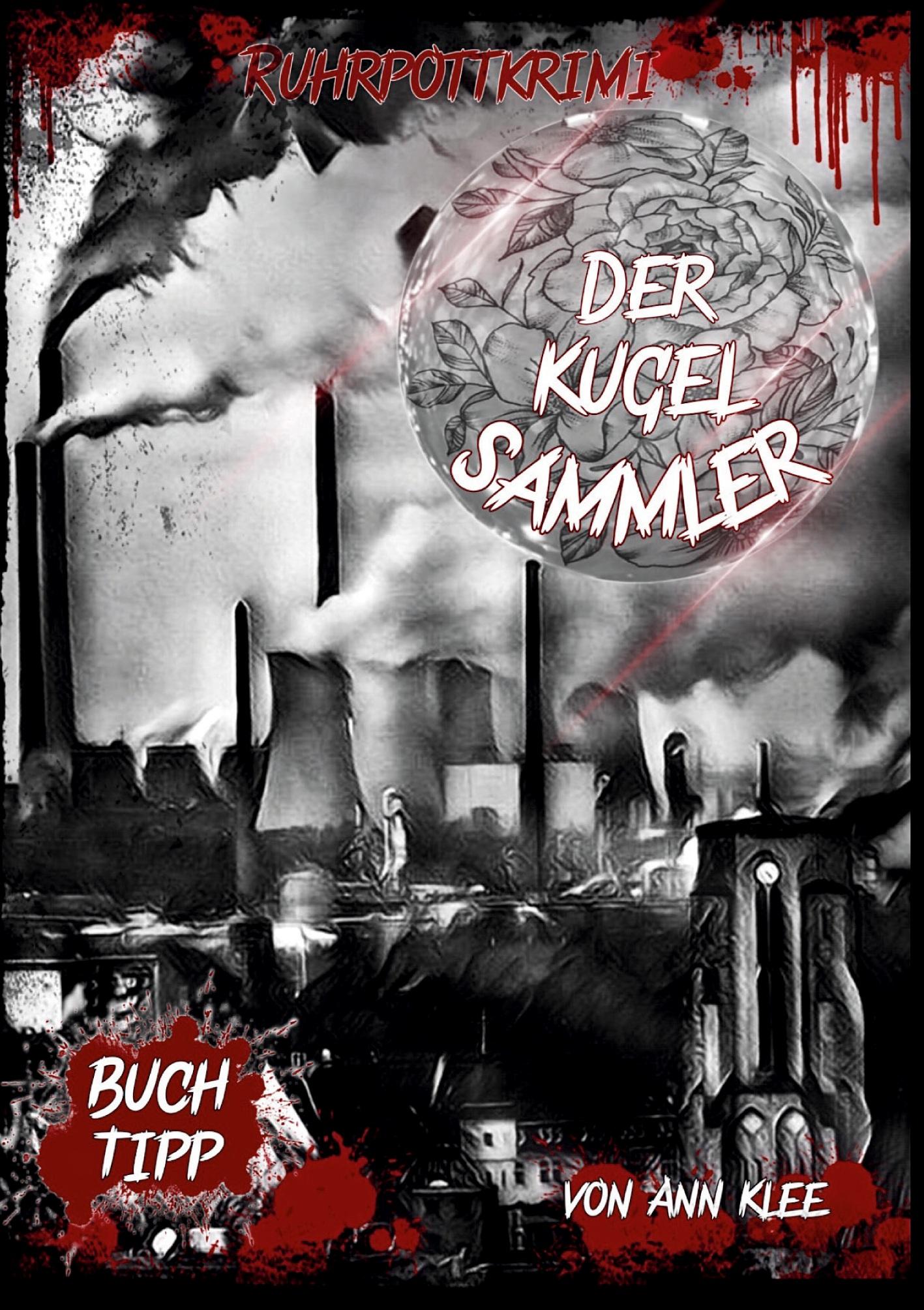 Vorderes Coverbild Der Kugelsammler