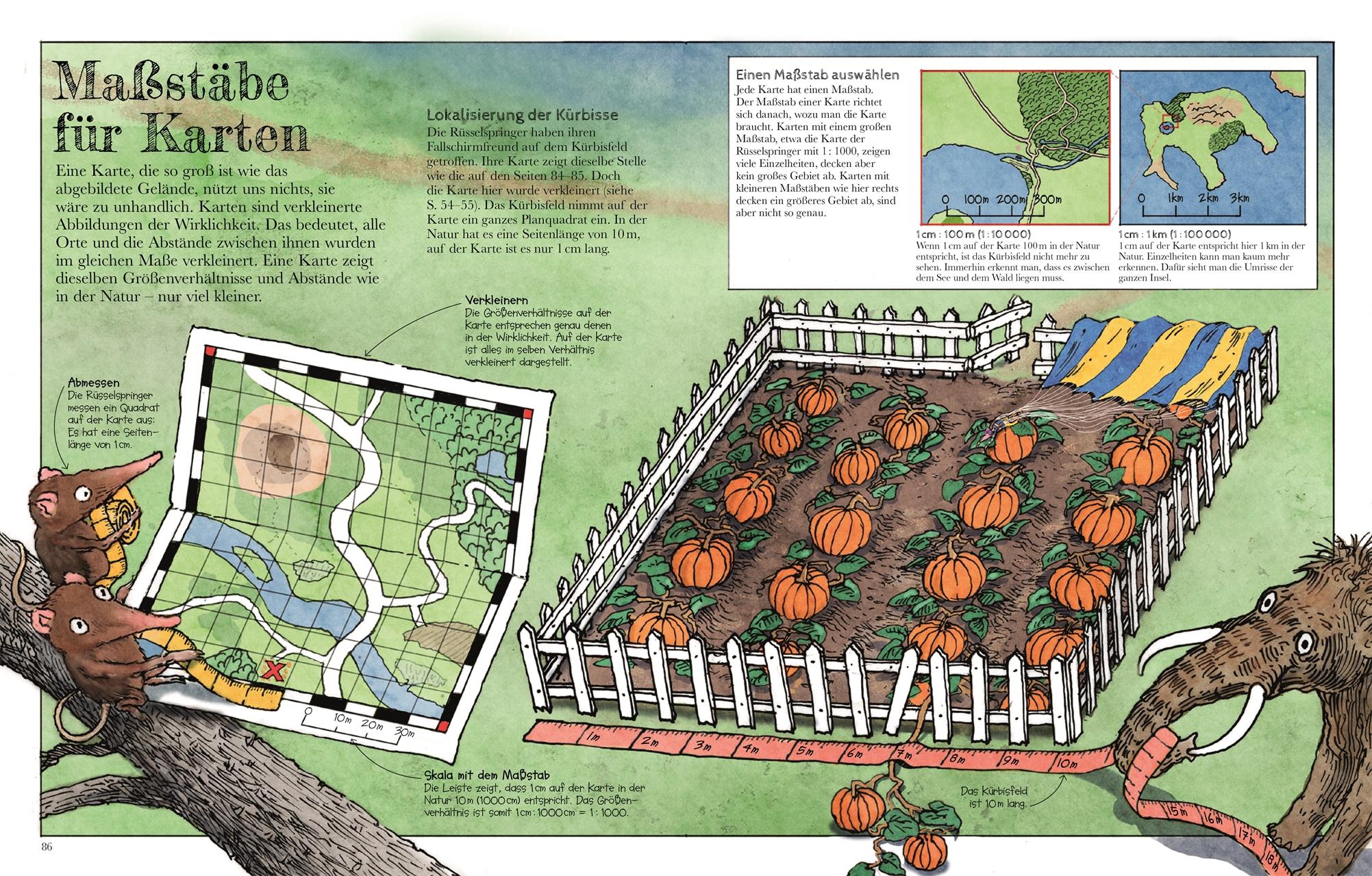 Beispielinhalt (Bild) Das Mammut-Buch Mathematik