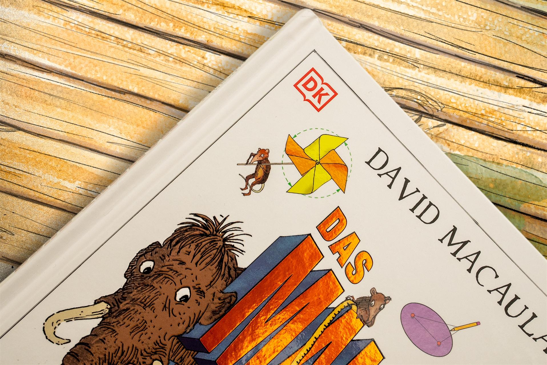 Beispielinhalt (Bild) Das Mammut-Buch Mathematik