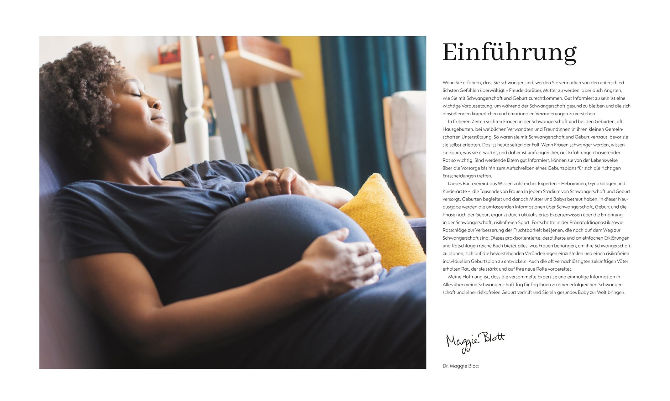 Beispielinhalt (Bild) Alles über meine Schwangerschaft Tag für Tag