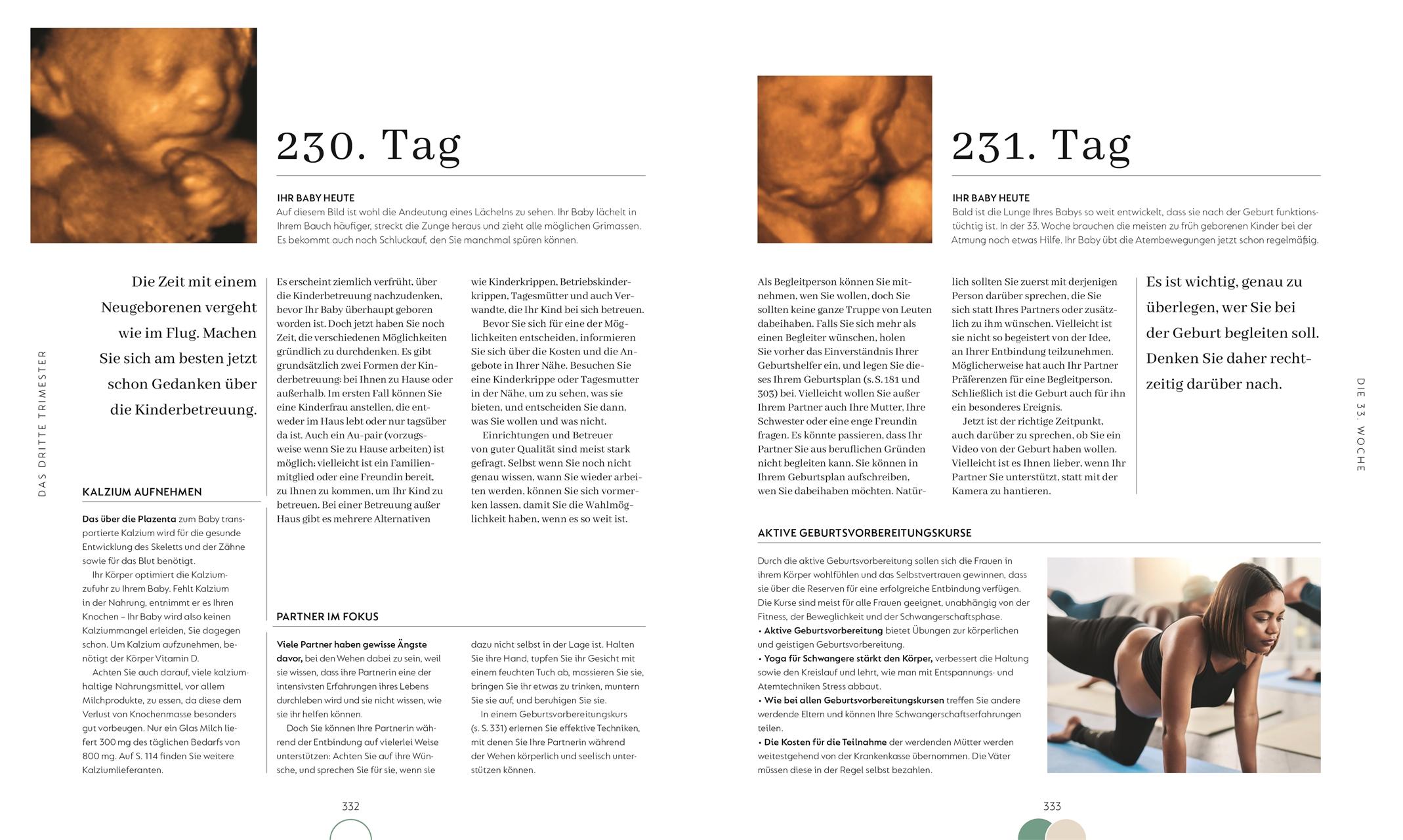 Beispielinhalt (Bild) Alles über meine Schwangerschaft Tag für Tag