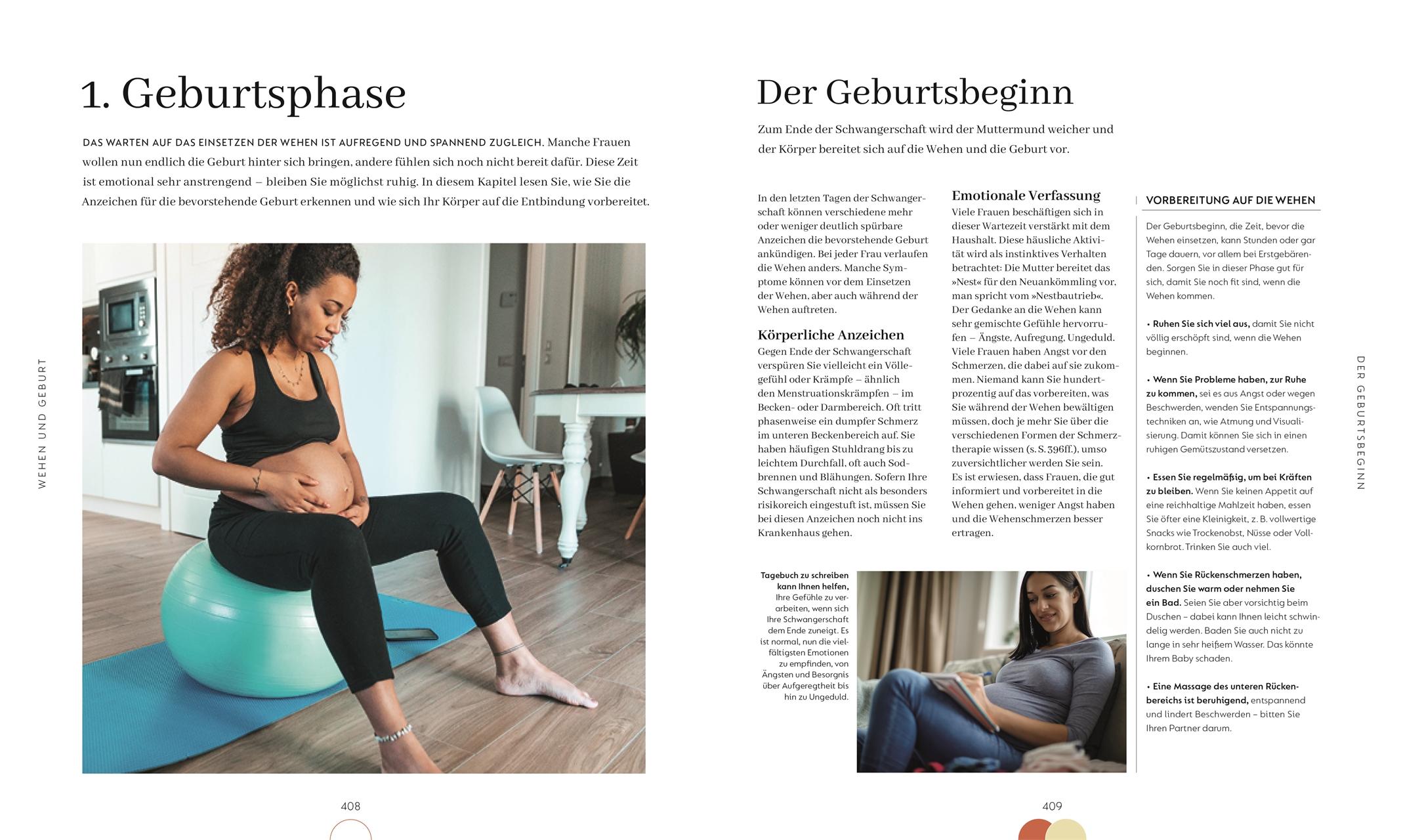 Beispielinhalt (Bild) Alles über meine Schwangerschaft Tag für Tag