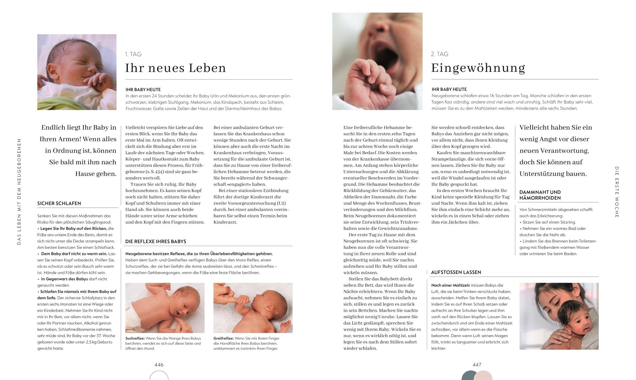 Beispielinhalt (Bild) Alles über meine Schwangerschaft Tag für Tag