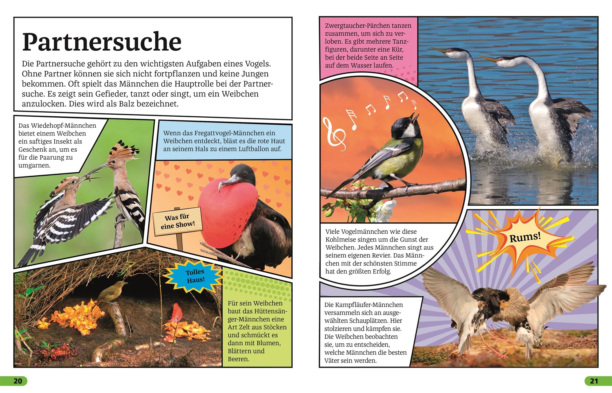 Beispielinhalt (Bild) Superchecker! Vögel
