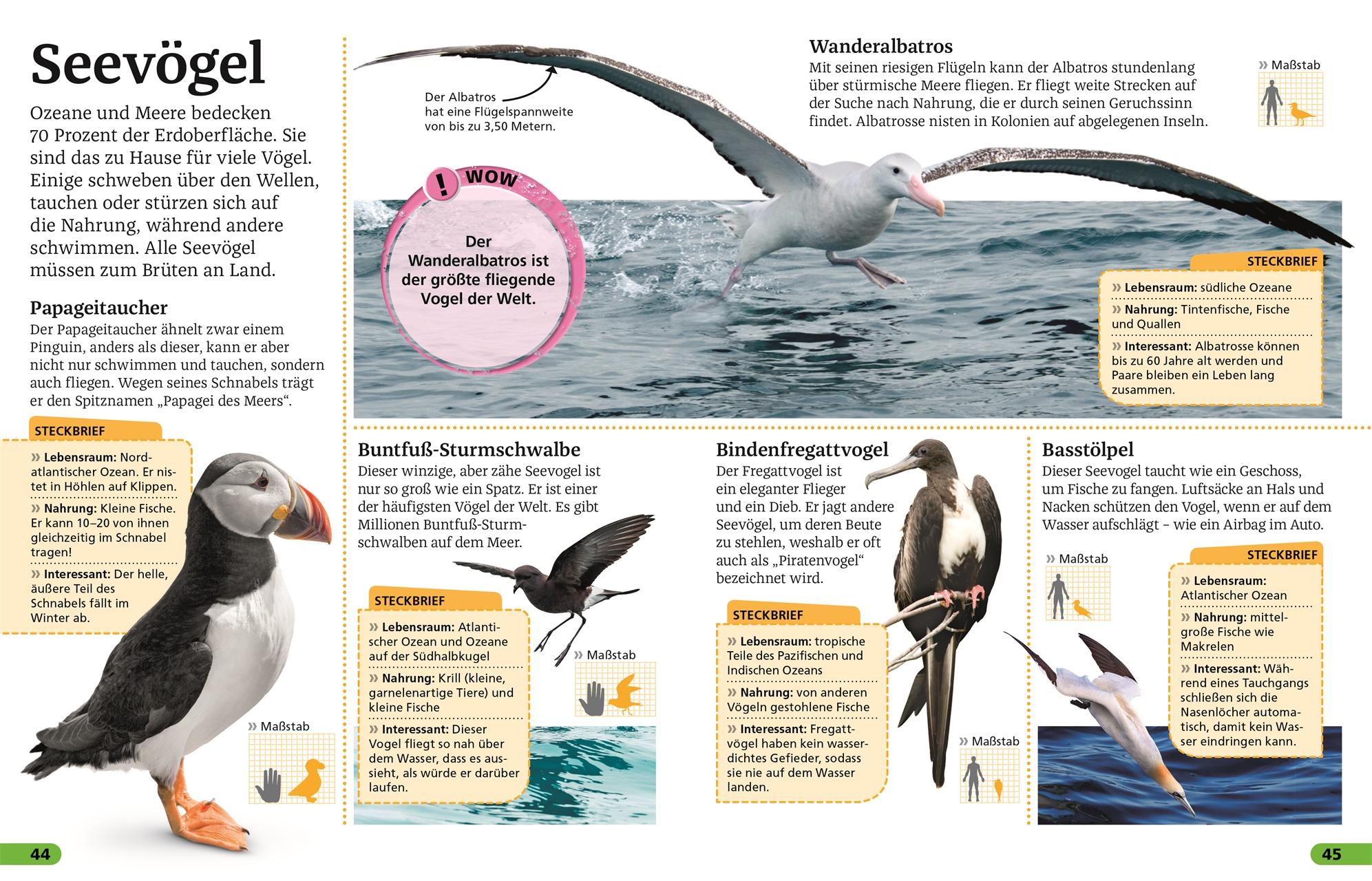 Beispielinhalt (Bild) Superchecker! Vögel