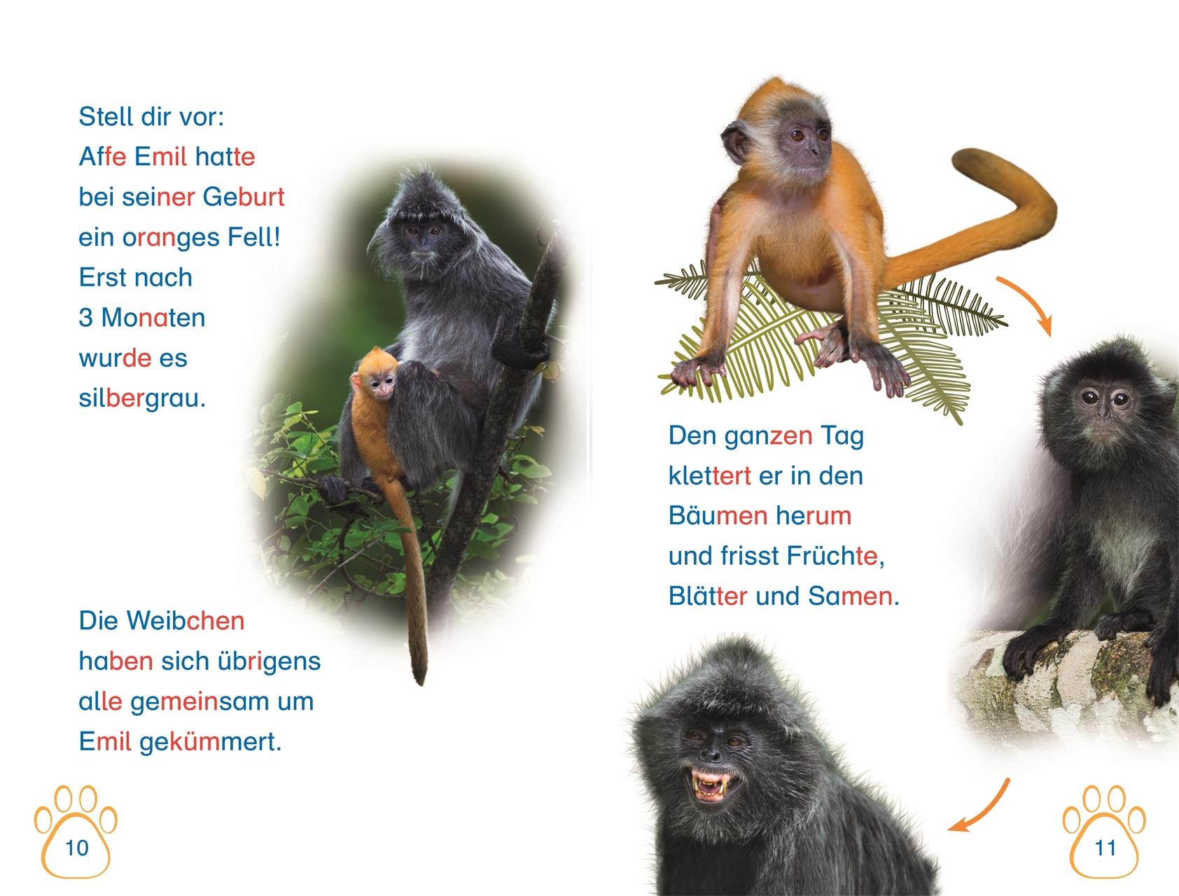 Beispielinhalt (Bild) SUPERLESER! Nachwuchs bei uns im Zoo