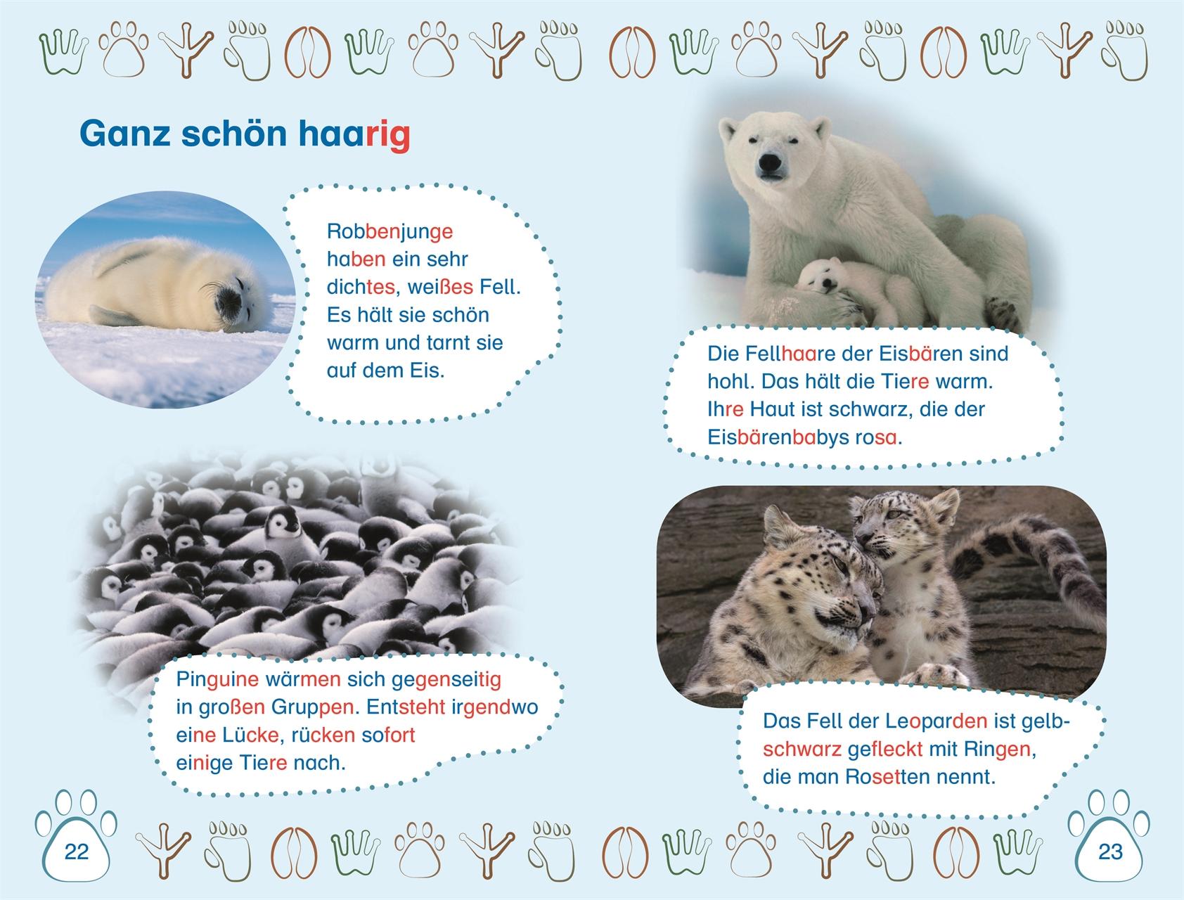 Beispielinhalt (Bild) SUPERLESER! Nachwuchs bei uns im Zoo