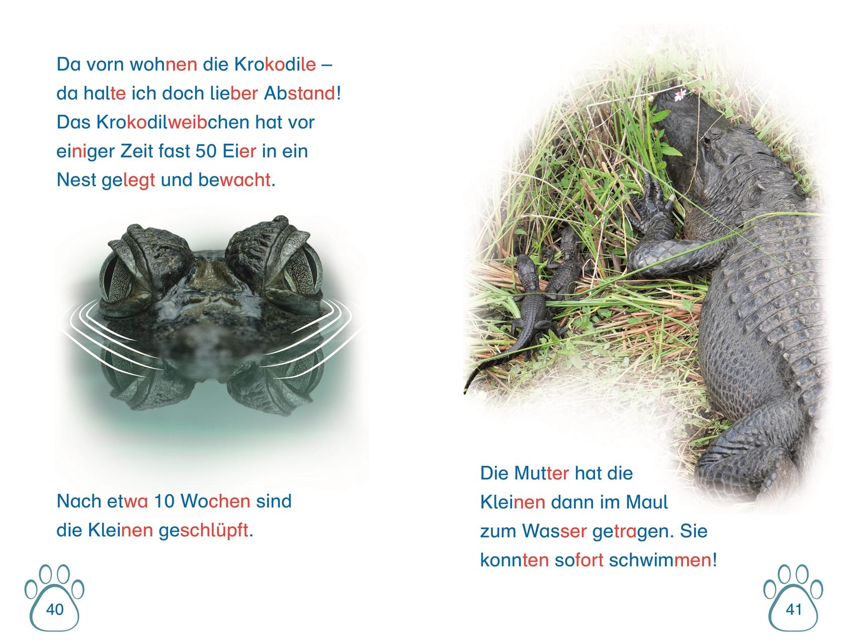 Beispielinhalt (Bild) SUPERLESER! Nachwuchs bei uns im Zoo