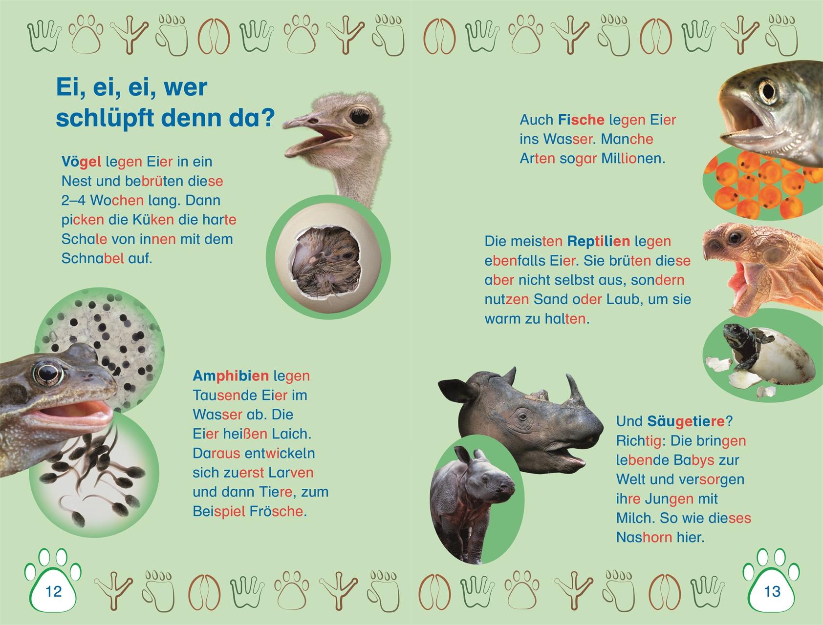 Beispielinhalt (Bild) SUPERLESER! Nachwuchs bei uns im Zoo