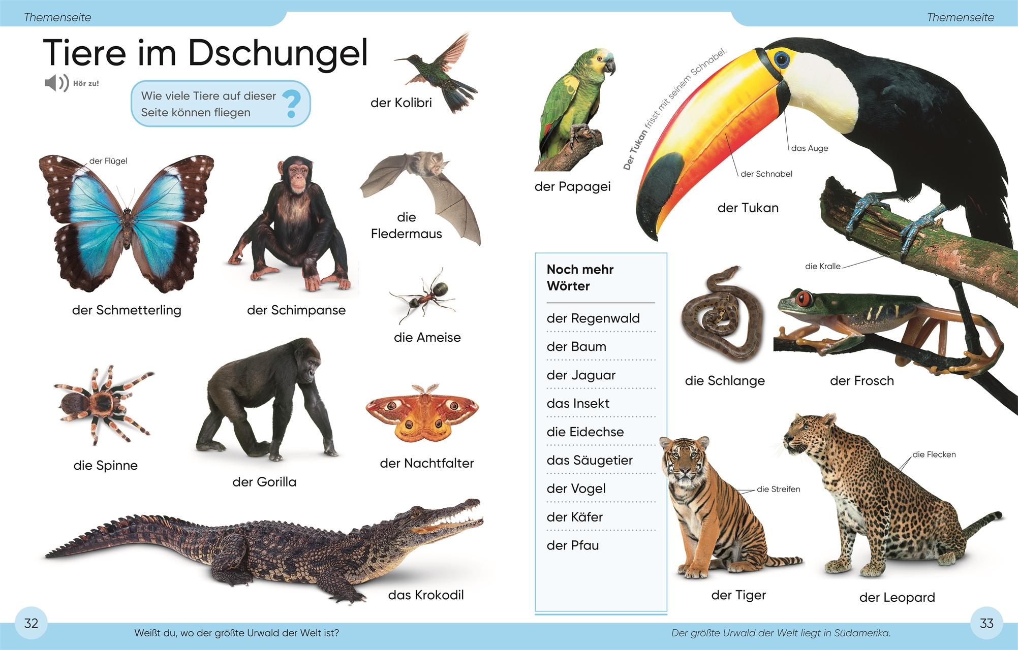 Beispielinhalt (Bild) Bildwörterbuch Deutsch