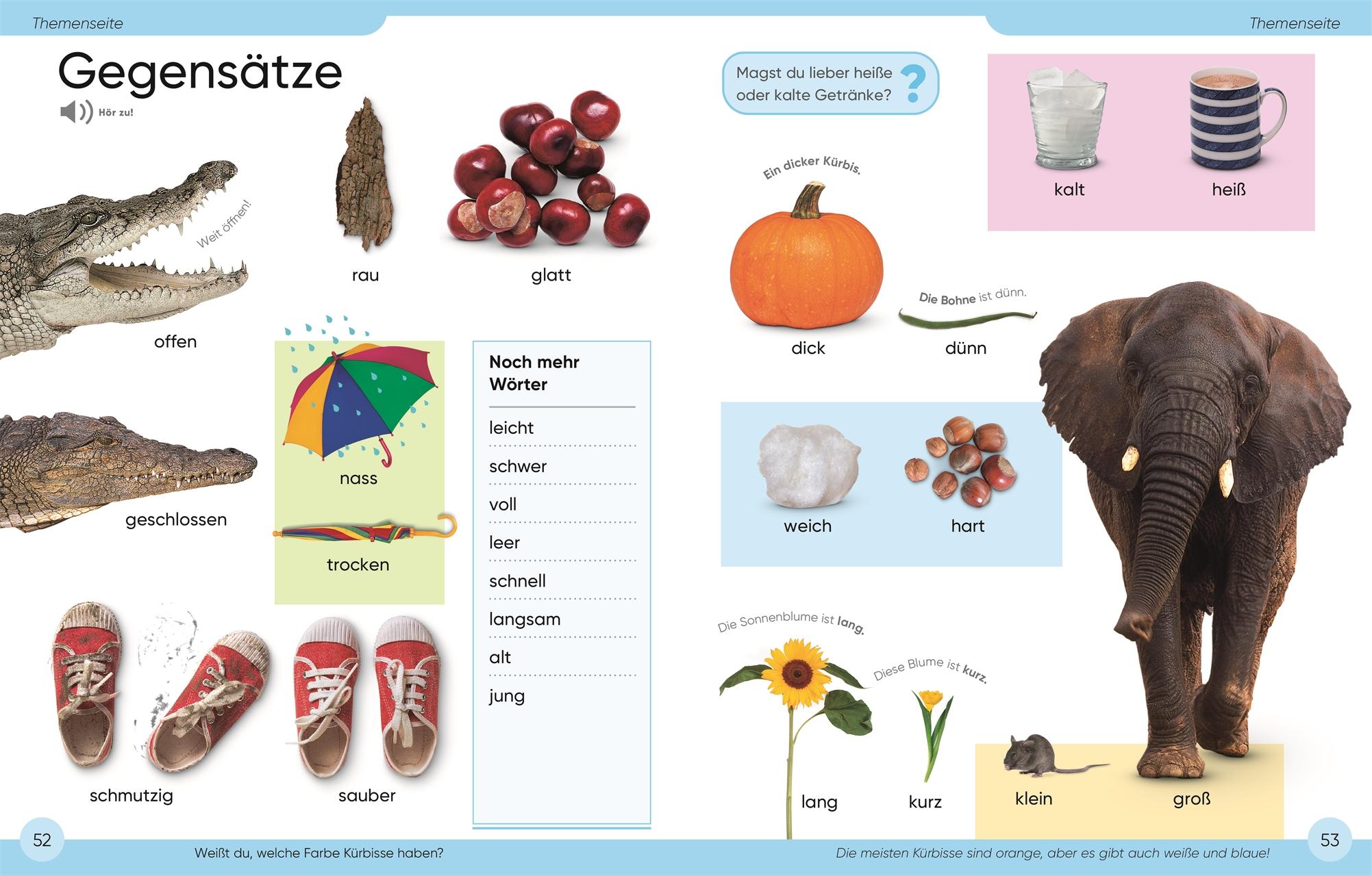 Beispielinhalt (Bild) Bildwörterbuch Deutsch