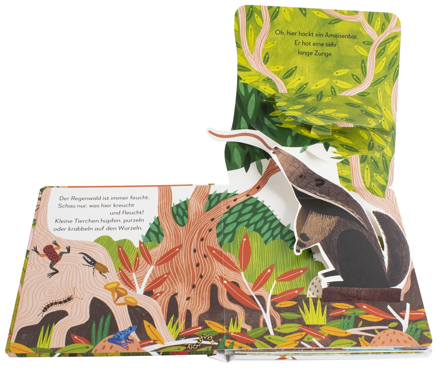 Beispielinhalt (Bild) Mein Pop-up-Buch zum Staunen. Wer lebt im Regenwald?