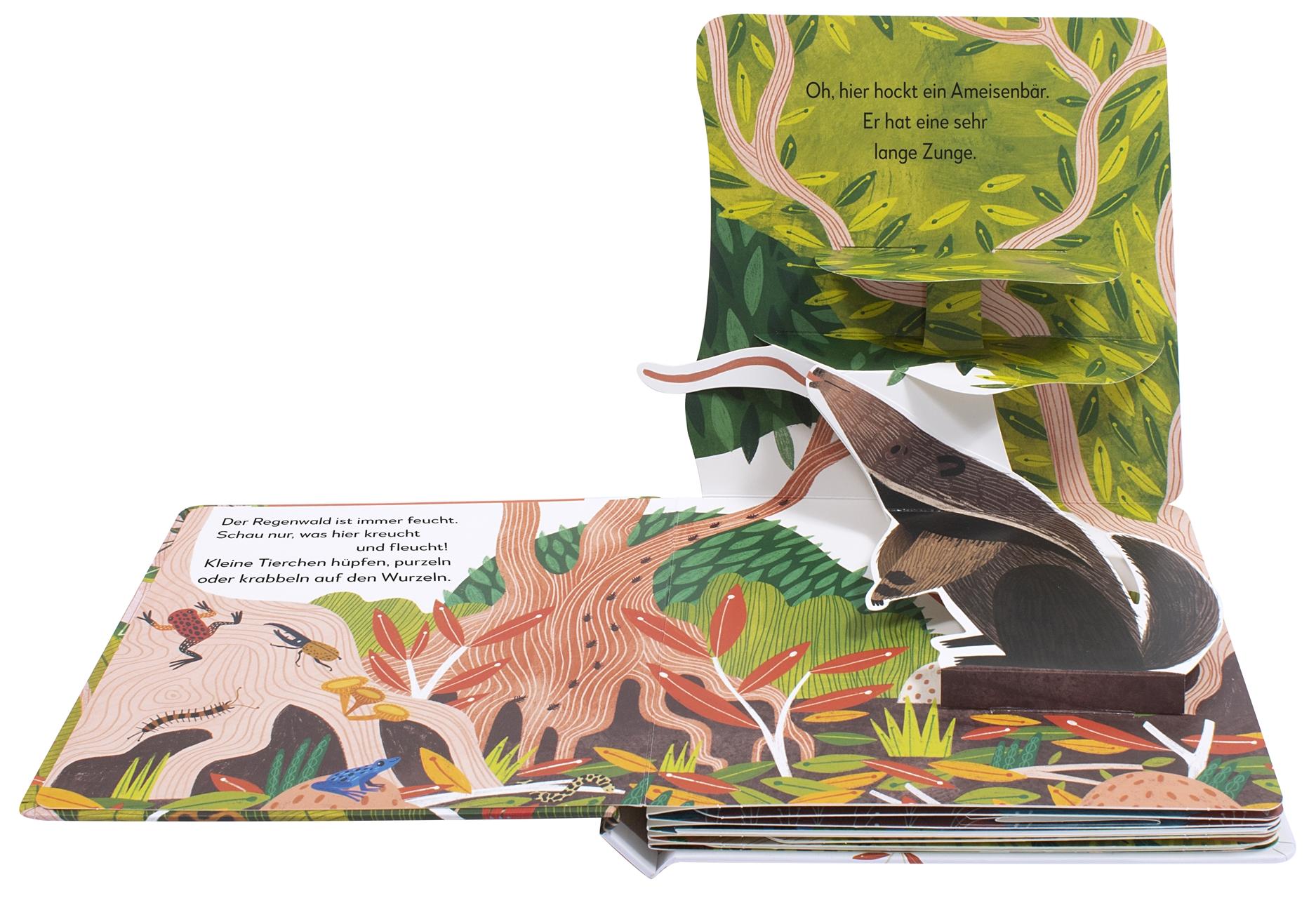 Beispielinhalt (Bild) Mein Pop-up-Buch zum Staunen. Wer lebt im Regenwald?