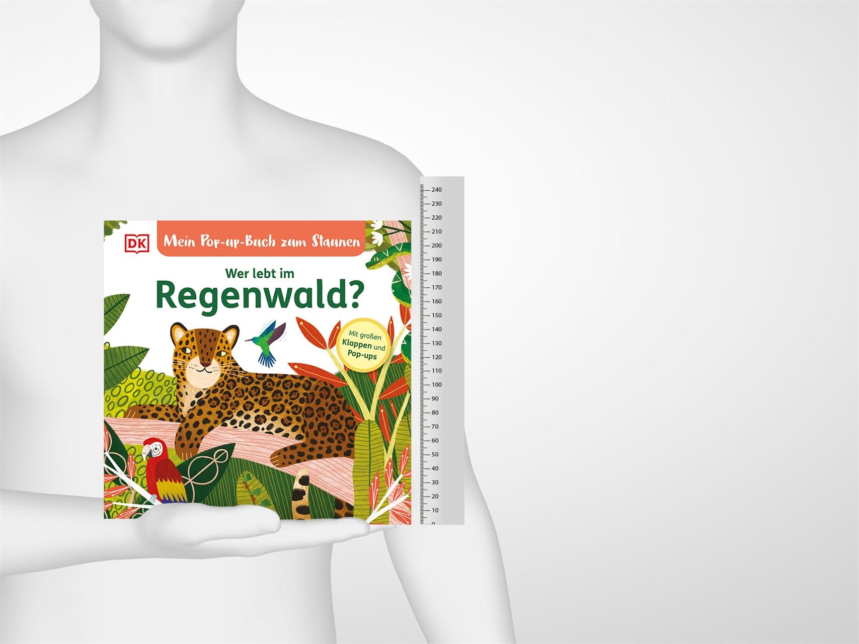 Beispielinhalt (Bild) Mein Pop-up-Buch zum Staunen. Wer lebt im Regenwald?
