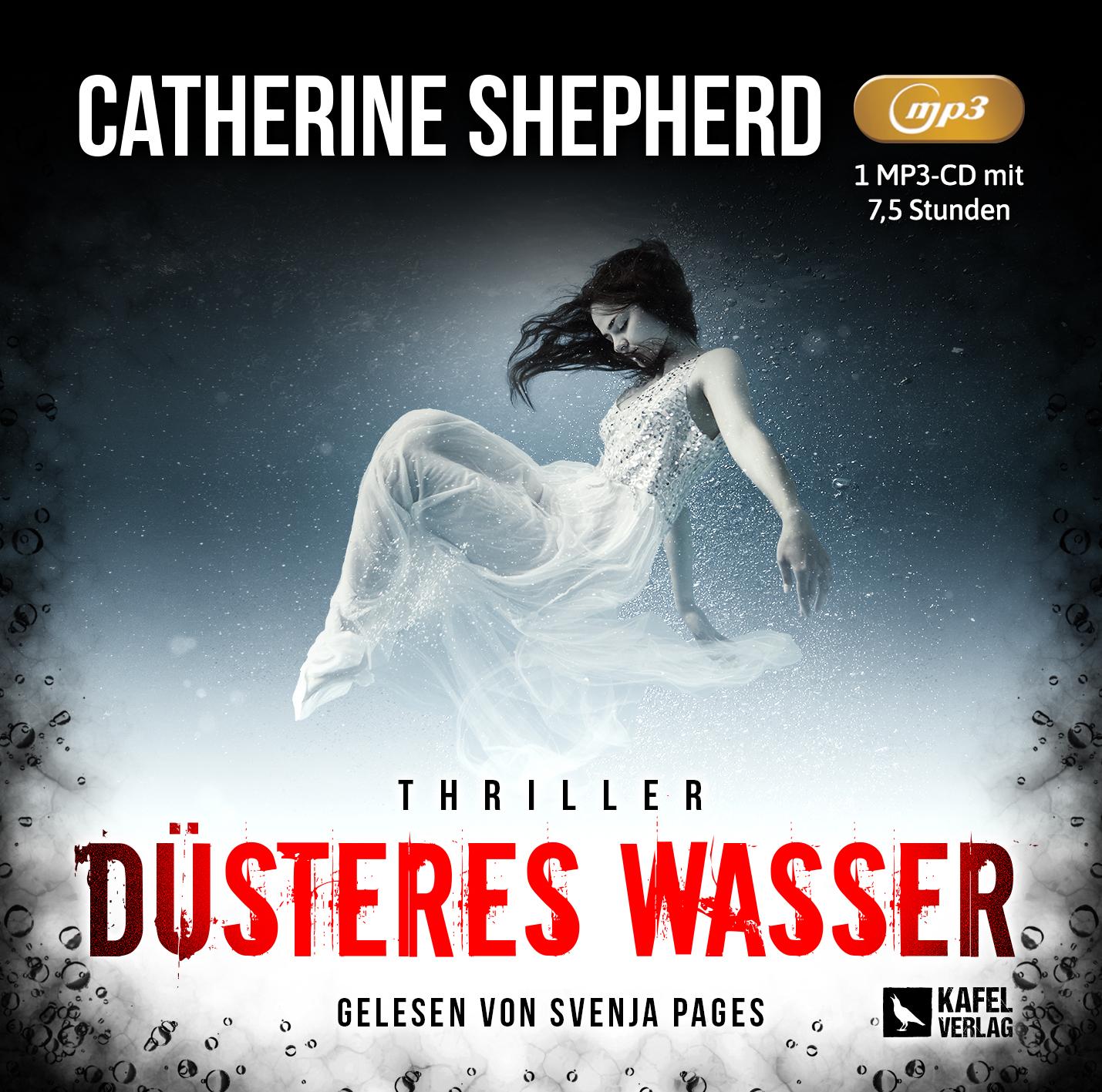 Vorderes Coverbild Düsteres Wasser: Thriller