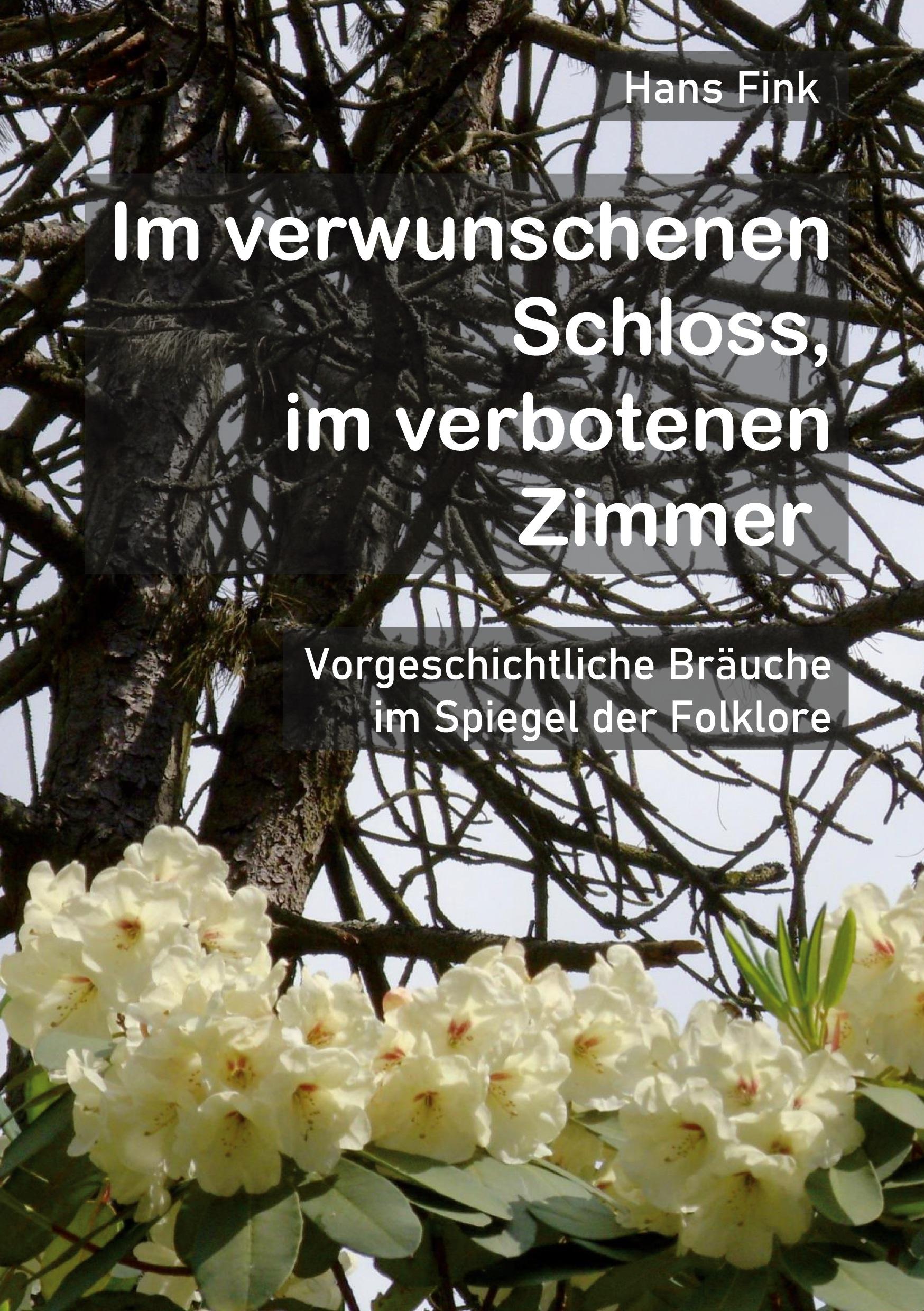 Vorderes Coverbild Im verwunschenen Schloss, im verbotenen Zimmer