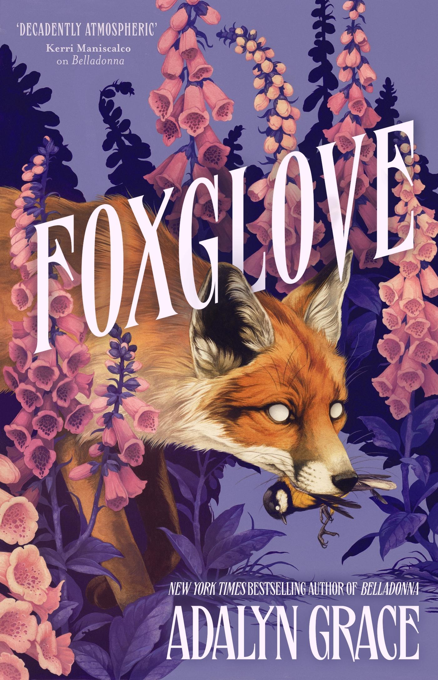 Vorderes Coverbild Foxglove