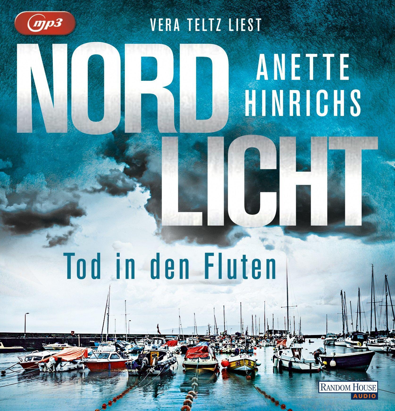 Vorderes Coverbild Nordlicht - Tod in den Fluten
