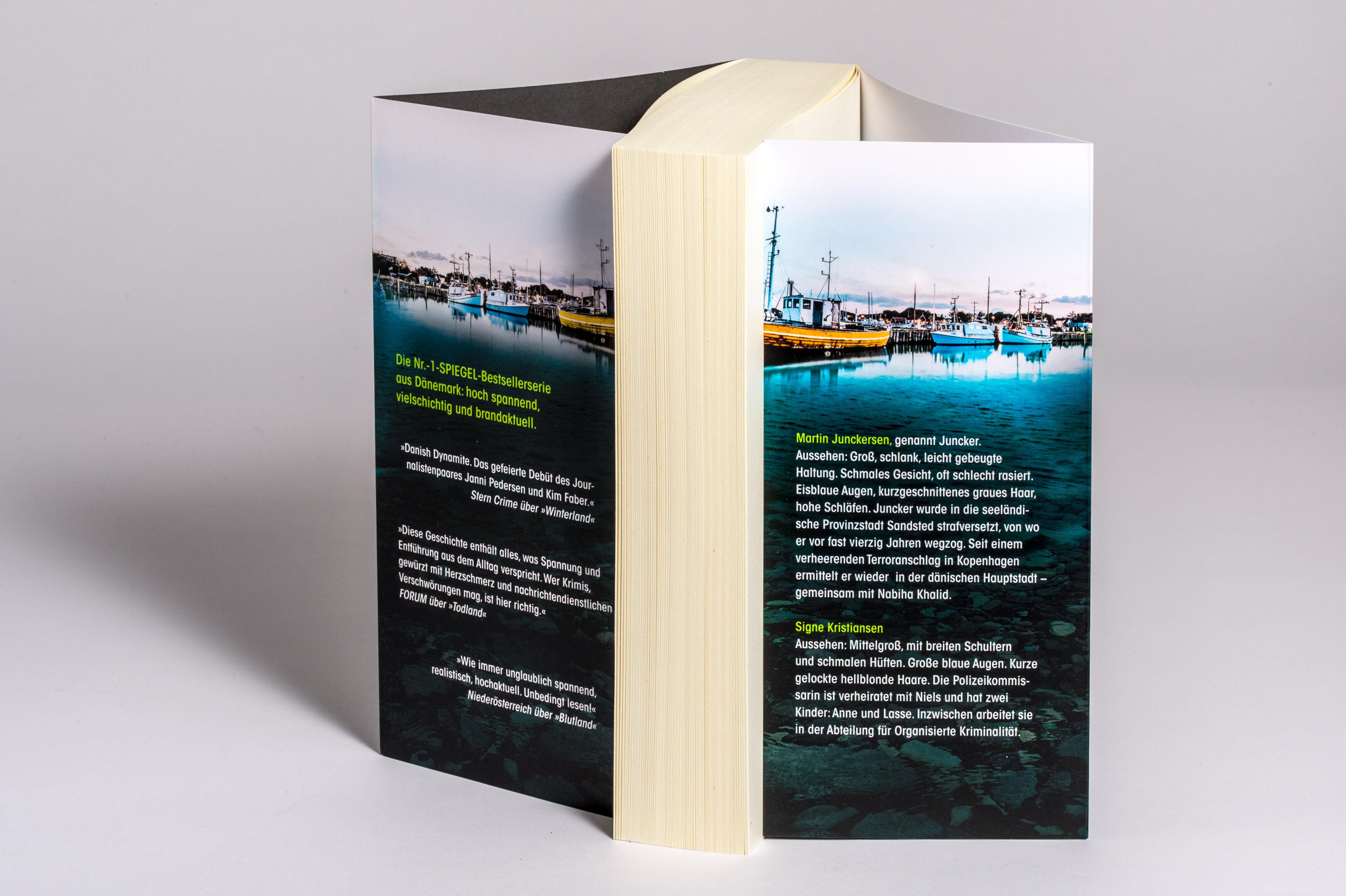 Beispielinhalt (Bild) Mörderland