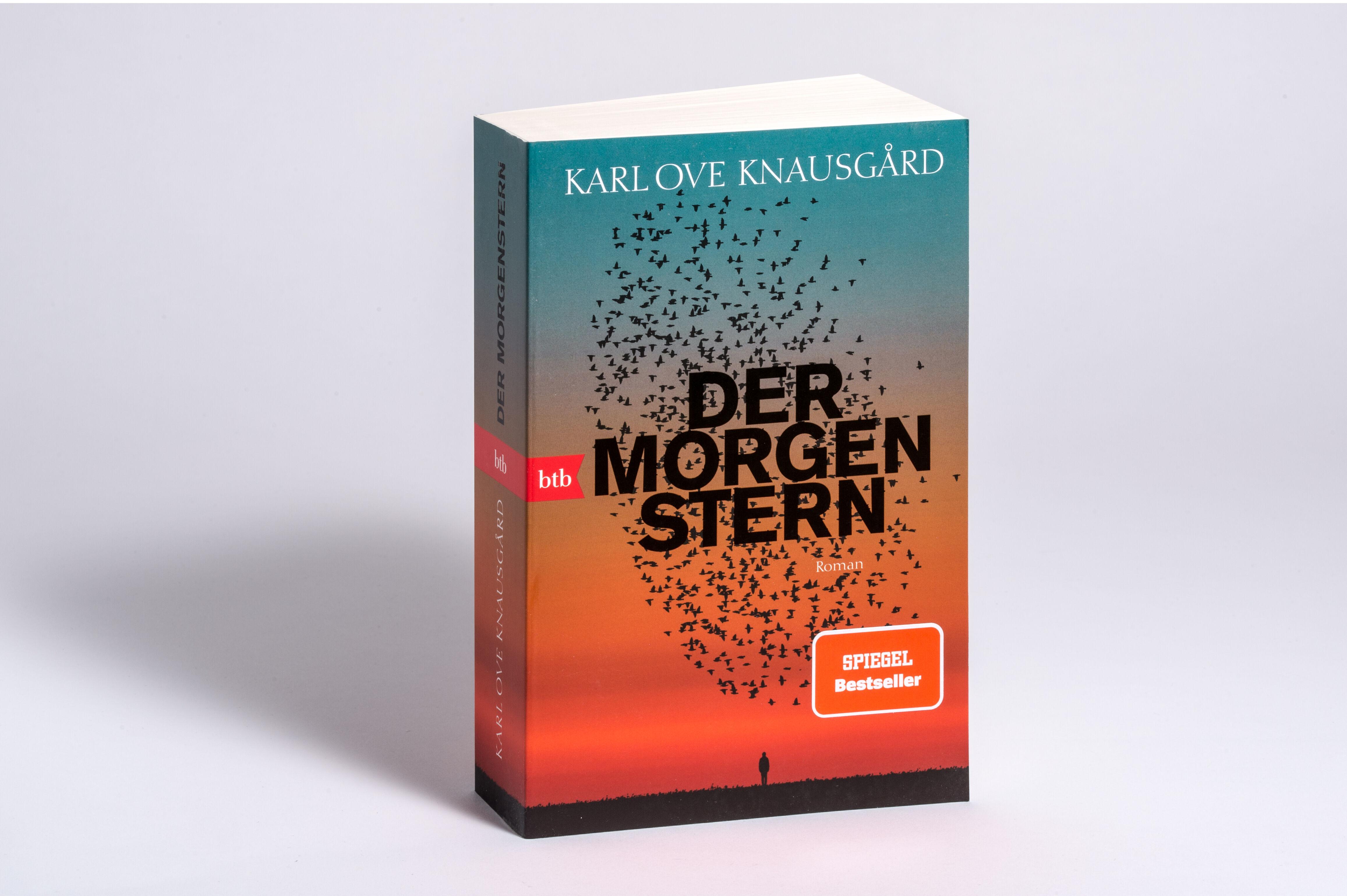 Beispielinhalt (Bild) Der Morgenstern