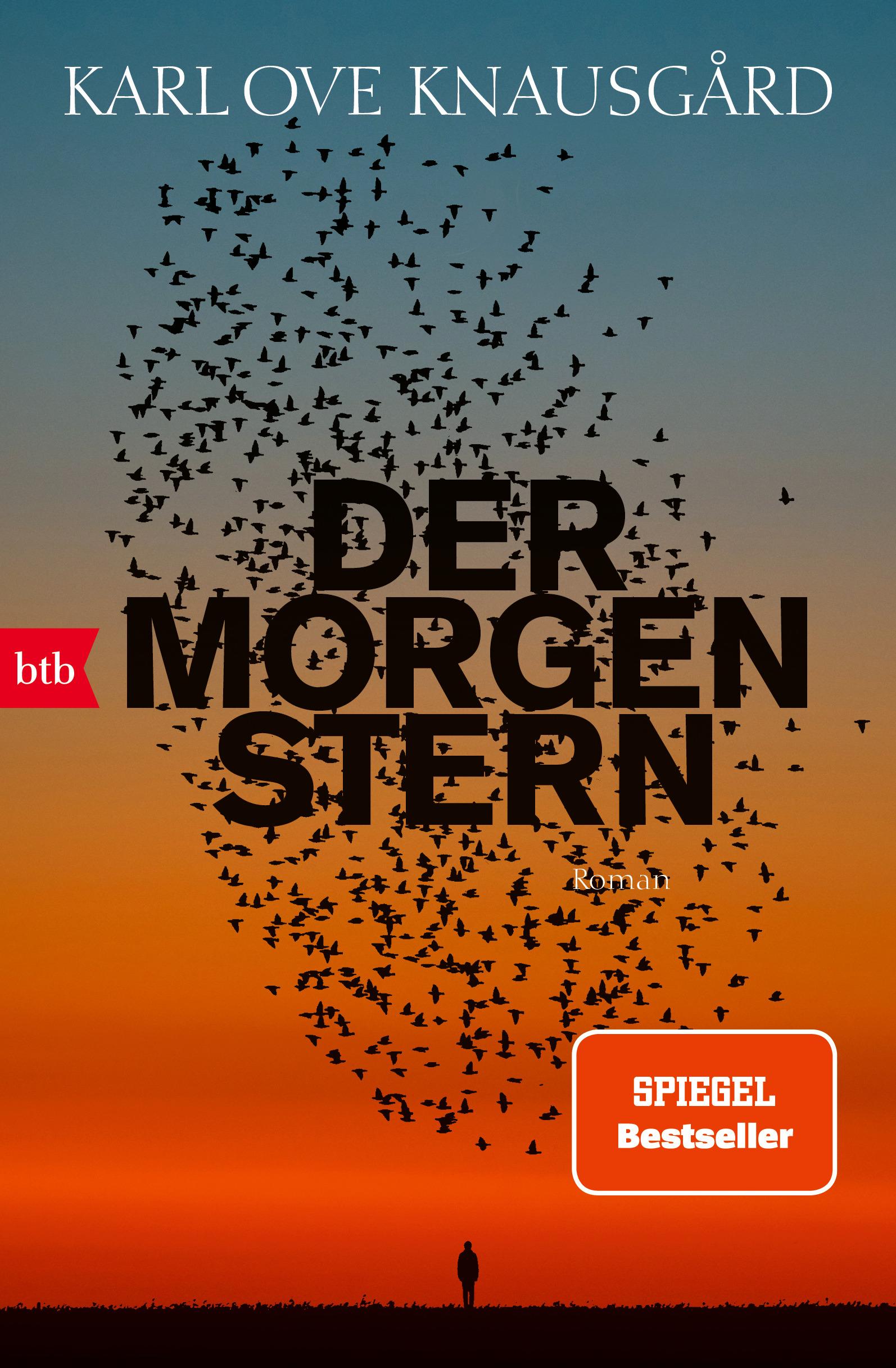 Vorderes Coverbild Der Morgenstern
