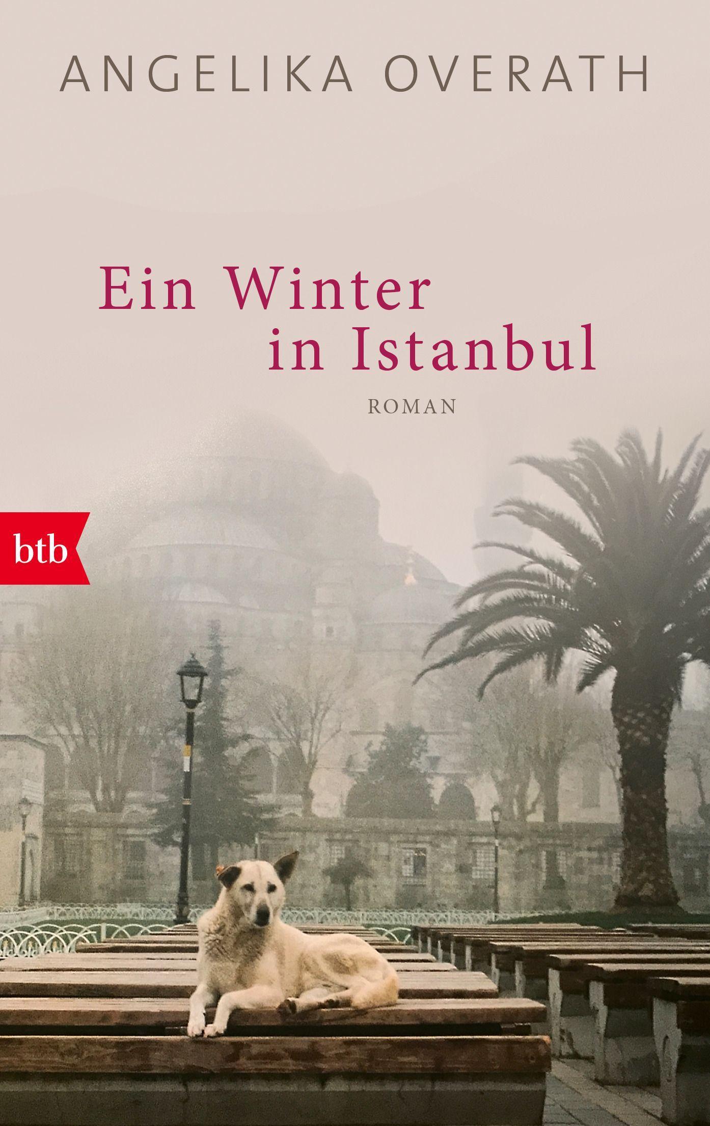 Vorderes Coverbild Ein Winter in Istanbul