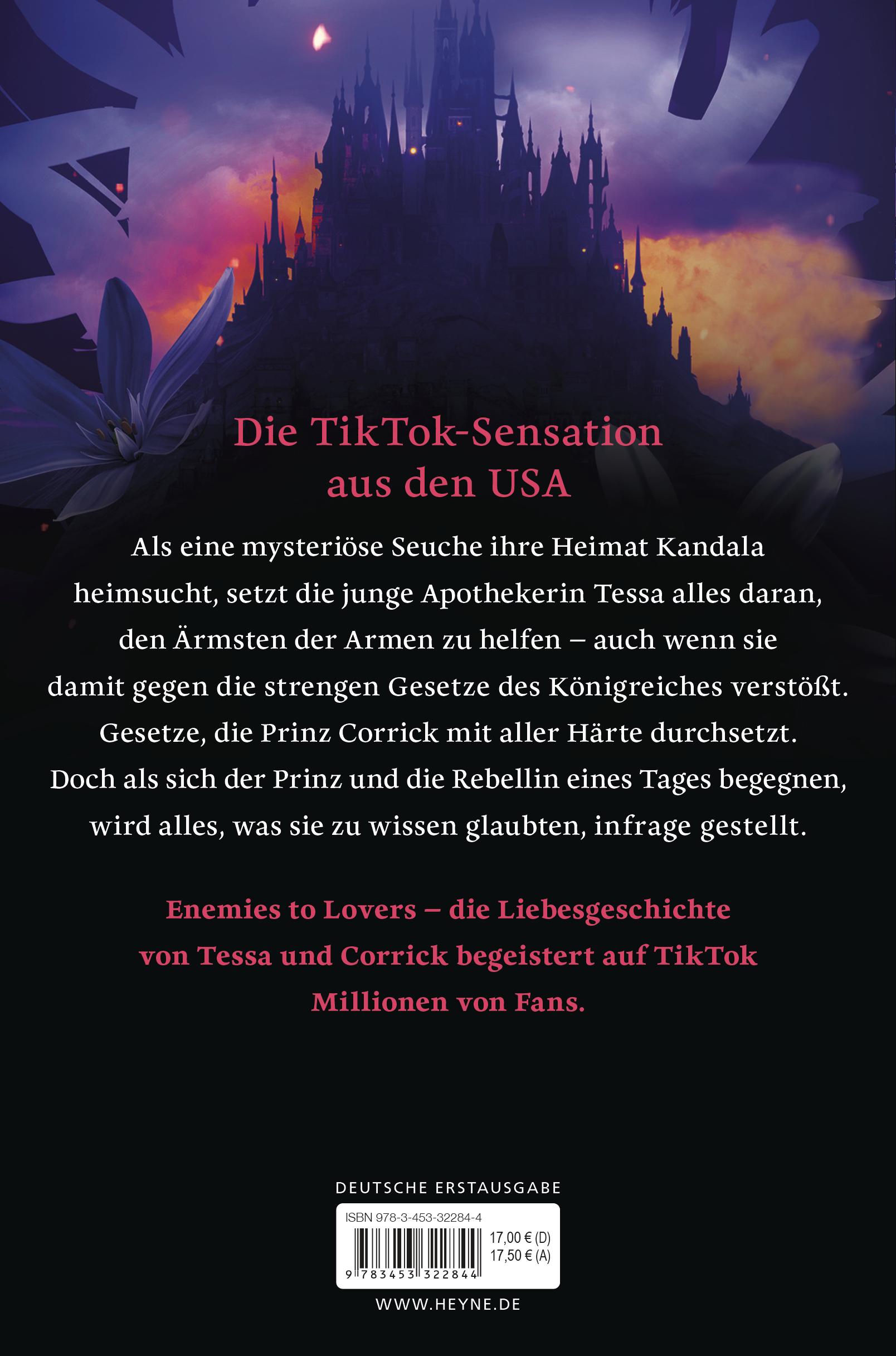 Beispielinhalt (Bild) Trotze der Nacht