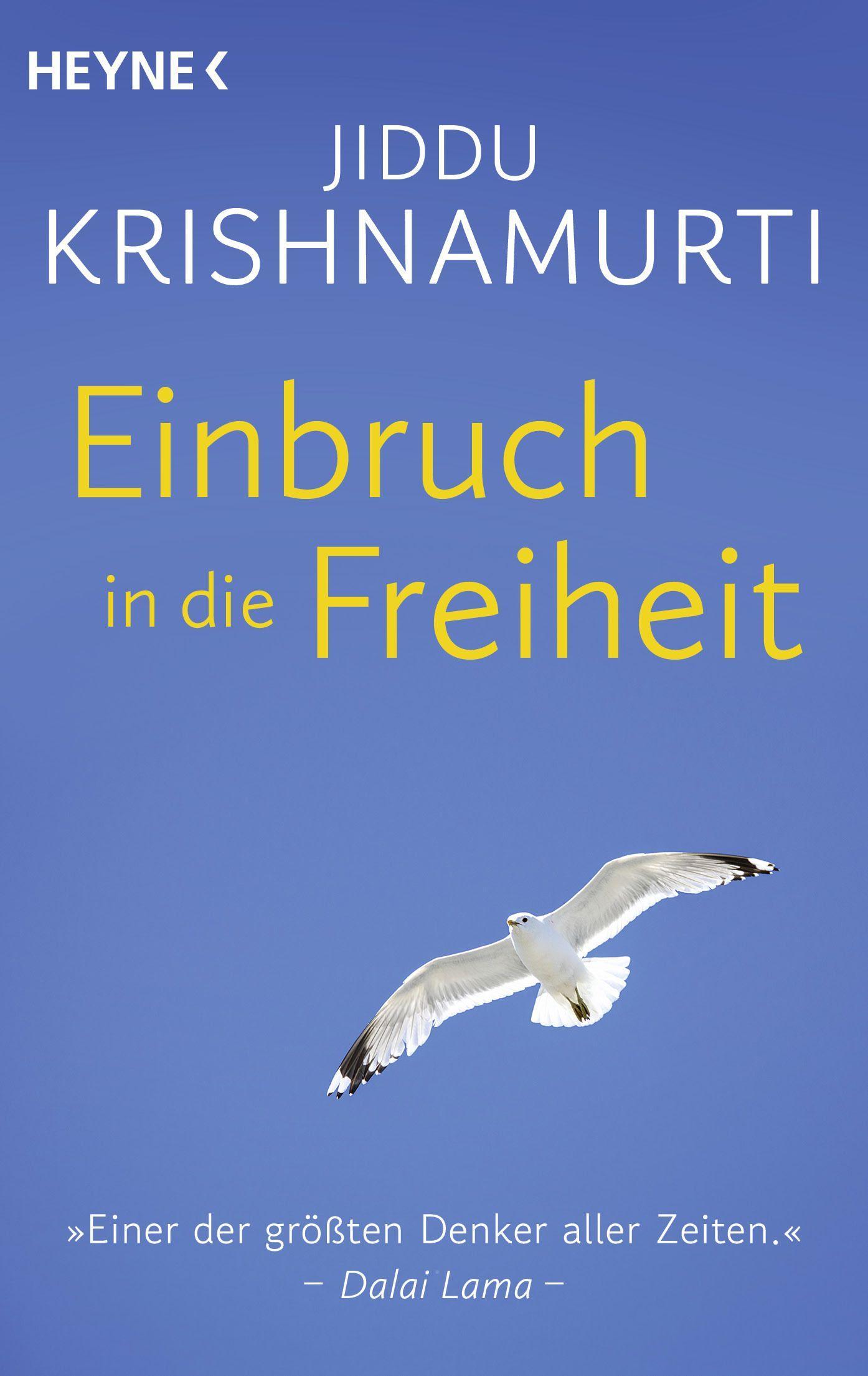 Vorderes Coverbild Einbruch in die Freiheit