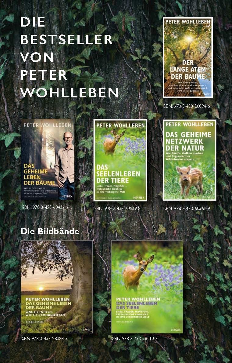 Beispielinhalt (Bild) Das geheime Band zwischen Mensch und Natur
