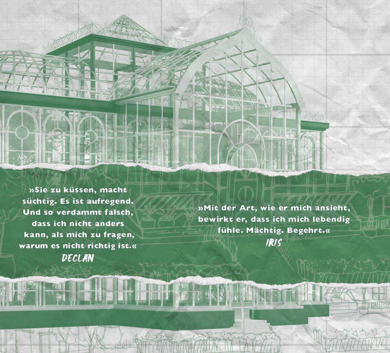 Beispielinhalt (Bild) Dreamland Billionaires - Terms and Conditions