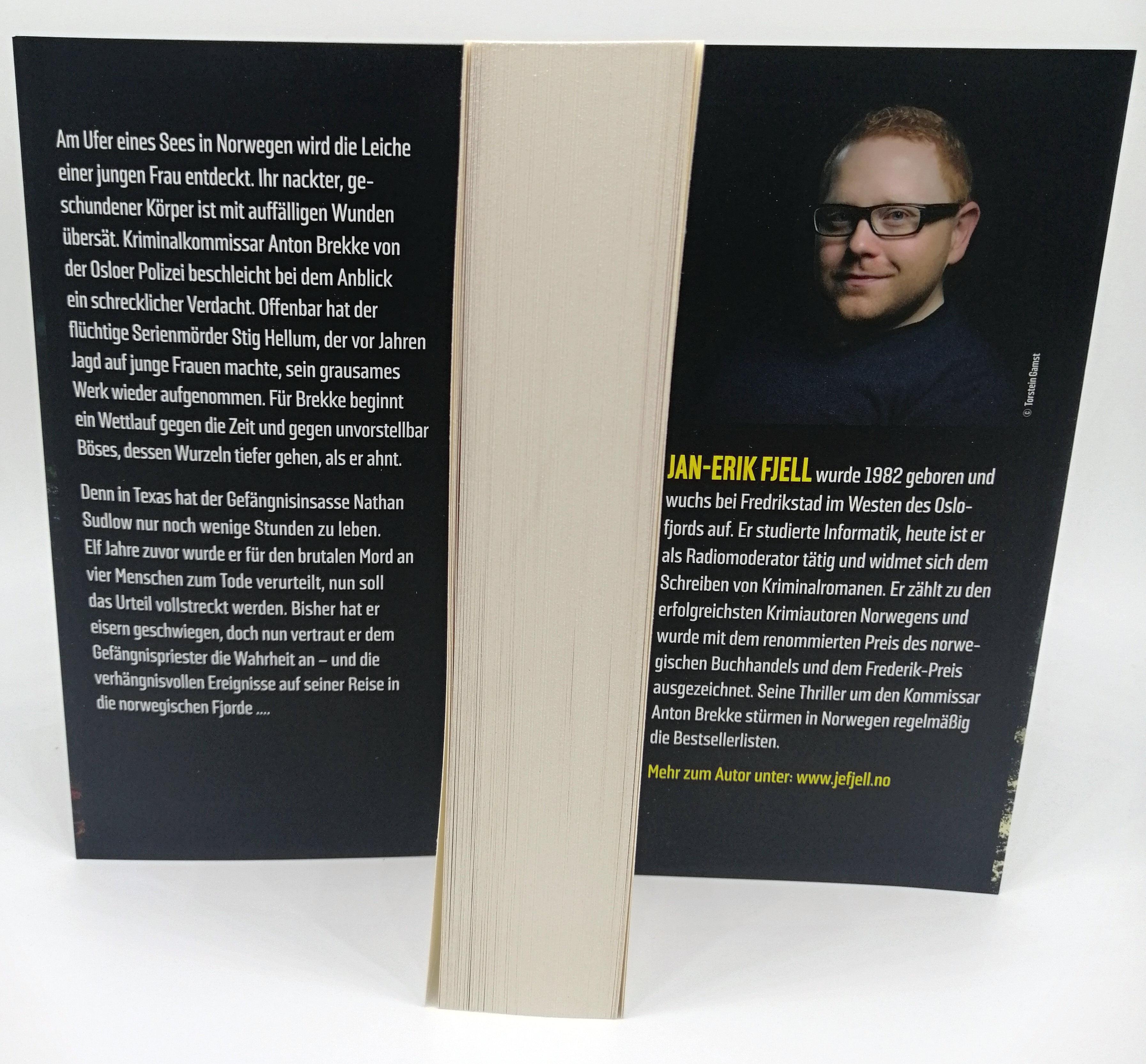 Beispielinhalt (Bild) Nachtjagd